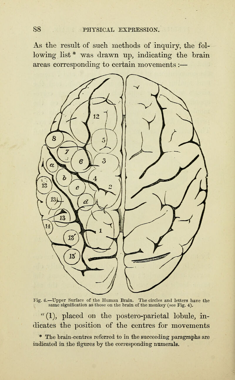 As the result of such methods of inquiry, the fol- lowing list* was drawn up, indicating the brain areas corresponding to certain movements :— Fig. 6.—Upper Surface of the Human Brain. The circles and letters have the same signification as those on the brain of the monkey (see Fig. 4). (1), placed on the postero-parietal lobule, in- dicates the position of the centres for movements * The brain-centres referred to in the succeeding paragraphs are indicated in the figures by the corresponding numerals.