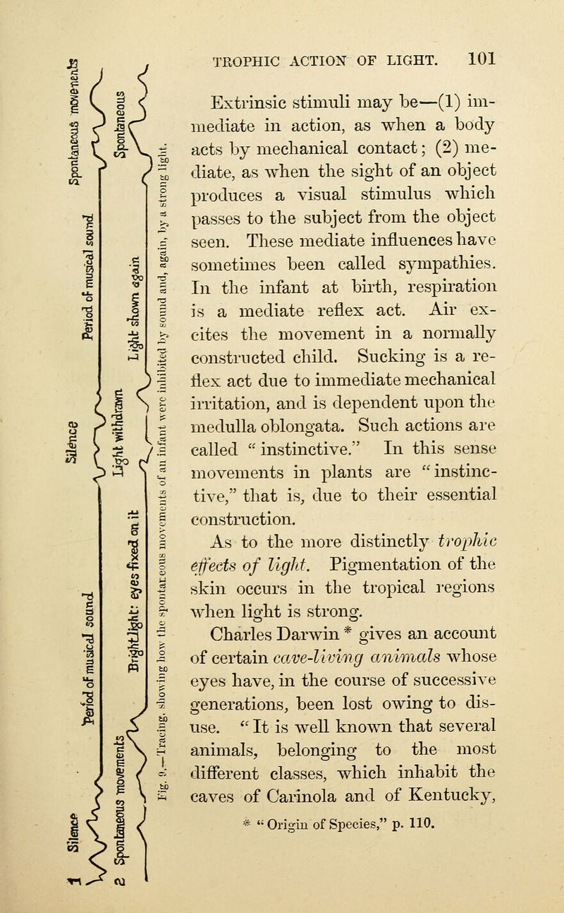 Extrinsic stimuli may be—(1) im- mediate in action, as when a body acts by mechanical contact; (2) me- diate, as when the sight of an object produces a visual stimulus which passes to the subject from the object seen. These mediate influences have sometimes been called sympathies. In the infant at birth, respiration is a mediate reflex act. Air ex- cites the movement in a normally constructed child. Sucking is a re- flex act due to immediate mechanical irritation, and is dependent upon the medulla oblongata. Such actions are called  instinctive. In this sense movements in plants are instinc- tive, that is, due to their essential construction. As to the more distinctly trophic effects of light. Pigmentation of the skin occurs in the tropical i-egions when light is strong. Charles Darwin * gives an account of certain cave-living cmimals whose eyes have, in the course of successive generations, been lost owing to dis- use. *' It is well known that several animals, belonging to the most difierent classes, which inhabit the caves of Carinola and of Kentucky, * Origin of Species, p. 110.