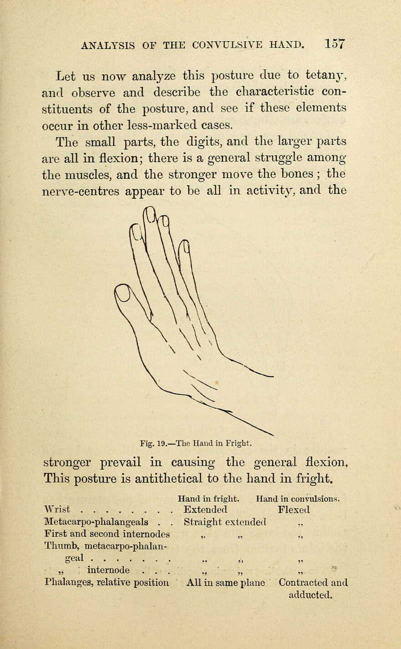 Let US now analyze this posture due to tetany, and observe and describe the characteristic con- stituents of the posture, and see if these elements occur in other less-marked cases. The small parts, the digits, and the larger parts are all in flexion; there is a general struggle among the muscles, and the stronger move the bones; the nerve-centres appear to be all in activity, and the Fig. 19.—The Hand in Fright. stronger prevail in causing the general flexion. This posture is antithetical to the hand in fright. Hand iu fright. Wrist Extended Hand in convulsions. Flexed Metacarpo-phalangeals . . First and second internodes Tlnimb, metacarpo-phalan- geal „ ; internode . . . Phalanges, relative position Straight extended All in same plane Contracted and addncted.