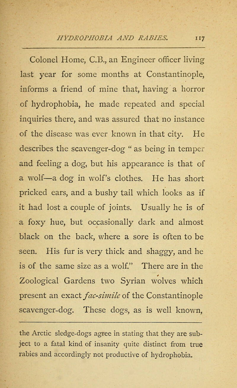 Colonel Home, C.B,, an Engineer officer living last year for some months at Constantinople, informs a friend of mine that, having a horror of hydrophobia, he made repeated and special inquiries there, and was assured that no instance of the disease was ever known in that city. He describes the scavenger-dog  as being in temper and feeling a dog, but his appearance is that of a wolf—a dog in wolf's clothes. He has short pricked ears, and a bushy tail which looks as if it had lost a couple of joints. Usually he is of a foxy hue, but occasionally dark and almost black on the back, where a sore is often to be seen. His fur is very thick and shaggy, and he is of the same size as a wolf. There are in the Zoological Gardens two Syrian wolves which present an o.^d.z't facsimile oi ^<& Constantinople scavenger-dog. These dogs, as is well known, the Arctic sledge-dogs agree in stating that they are sub- ject to a fatal kind of insanity quite distinct from true rabies and accordingly not productive of hydrophobia.