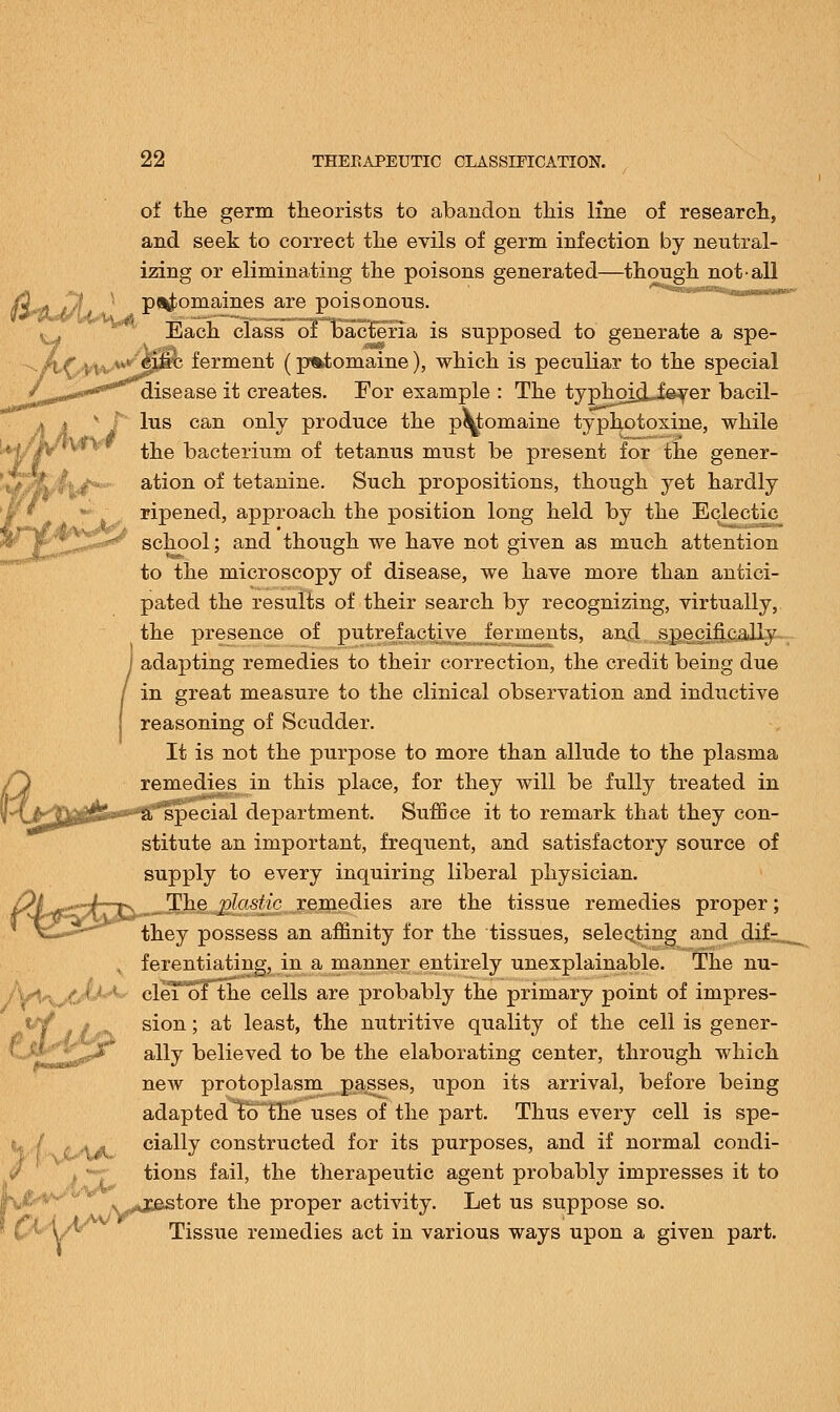 of the germ theorists to abandon this line of research, and seek to correct the evils of germ infection by neutral- izing or eliminating the poisons generated—though not all ptomaines are poisonous. Each class of bacteria is supposed to generate a spe- ferment (p%tomaine), which is peculiar to the special disease it creates. For example : The typhoijLi&f er bacil- lus can only produce the ptomaine typhotoxine, while the bacterium of tetanus must be present for the gener- ation of tetanine. Such propositions, though yet hardly ripened, approach the position long held by the Eclectic school; and though we have not given as much attention to the microscopy of disease, we have more than antici- pated the results of their search by recognizing, virtually, the presence of putrefactive ferments, and specifically j adapting remedies to their correction, the credit being due / in great measure to the clinical observation and inductive reasoning of Scudder. It is not the purpose to more than allude to the plasma remedies in this place, for they will be fully treated in *f\j^£&}&i**'1i't*tipccial department. Suffice it to remark that they con- stitute an important, frequent, and satisfactory source of supply to every inquiring liberal physician. Ok rfrtjf!^ ^e ^ftS-'c remedies are the tissue remedies proper; they possess an affinity for the tissues, selecting and clif- . ferentiating, in a manner entirely unexplainable. The nu- cleToTthe cells are probably the primary point of impres- sion ; at least, the nutritive quality of the cell is gener- ally believed to be the elaborating center, through which new protoplasm passes, upon its arrival, before being adapted Toline uses of the part. Thus every cell is spe- aam. daily constructed for its purposes, and if normal condi- tions fail, the therapeutic agent probably impresses it to r \ ...*2&store the proper activity. Let us suppose so. Tissue remedies act in various ways upon a given part.