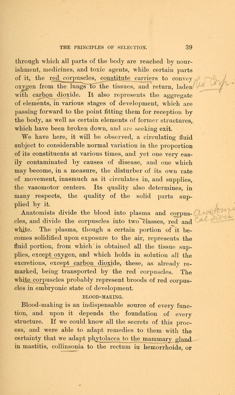 through which all parts of the body are reached by nour- ishment, medicines, and toxic agents, while certain parts of it, the red corpuscles, consiituje carriers to convey oxygen from the lungsto the tissues, and return, laden' with carbon dioxide. It also represents the aggregate of elements, in various stages of development, which are passing forward to the point fitting them for reception by the body, as well as certain elements of former structures, which have been broken down, and are seeking exit. We have here, it will be observed, a circulating fluid subject to considerable normal variation in the proportion of its constituents at various times, and yet one very eas- ily contaminated by causes of disease, and one which may become, in a measure, the disturber of its own rate of movement, inasmuch as it circulates in, and supplies, the vasomotor centers. Its quality also determines, in many respects, the quality of the solid parts sup- plied by it. Anatomists divide the blood into plasma and corpus- cles, and divide the corpuscles into two^classes, red and white. The plasma, though a certain portion of it be- comes solidified upon exposure to the air, represents the fluid portion, from which is obtained all the tissue sup- plies, except j3xygen, and which holds in solution all the excretions, except carbon dioxide, these, as already re- marked, being transported by the red corpuscles. The whije^ corpuscles probably represent broods of red corpus- cles in embryonic state of development. BLOOD-MAKING. Blood-making is an indispensable source of every func- tion, and upon it depends the foundation of every structure. If we could know all the secrets of this proc- ess, and were able to adapt remedies to them with the certainty that we adapt phytolacca to the mammary gland in mastitis, collinsonia to the rectum iu hemorrhoids, or