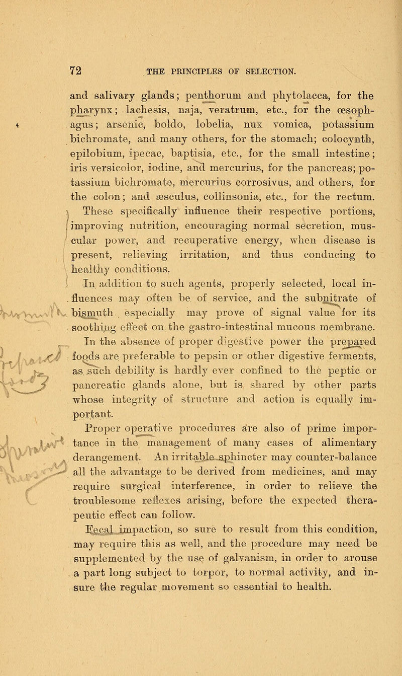 and salivary glands; penthorum and phytolacca, for the pharynx; lachesis, naja, veratrum, etc., for the cesoph- * agus; arsenic, boldo, lobelia, nux vomica, potassium bichromate, and many others, for the stomach; colocynth, epilobium, ipecac, baptisia, etc., for the small intestine; iris versicolor, iodine, and mercurius, for the pancreas; po- tassium bichromate, mercurius corrosivus, and others, for the colon; and aesculus, collinsonia, etc., for the rectum. \ These specifically influence their respective portions, l improving nutrition, encouraging normal secretion, mus- cular power, and recuperative energy, when disease is present, relieving irritation, and thus conducing to healthy conditions. -In addition to such agents, properly selected, local in- fluences may often be of service, and the subnitrate of T-WVvv* bigmuth especially may prove of signal value for its , soothing effect on the gastro-intestinal mucous membrane. In the absence of proper digestive power the prepared HK^ foods are preferable to pepsin or other digestive ferments, as such debility is hardly ever confined to the peptic or pancreatic glands alone, but is shared by other parts whose integrity of structure and action is equally im- portant. Proper operative procedures are also of prime impor- \ *\T^ tance in the management of many cases of alimentary derangement. An irritable sphincter may counter-balance ,-* all the advantage to be derived from medicines, and may require surgical interference, in order to relieve the troublesome reflexes arising, before the expected thera- peutic effect can follow. Foci! impaction, so sure to result from this condition, may require this as well, and the procedure may need be supplemented by the use of galvanism, in order to arouse . a part long subject to torpor, to normal activity, and in- sure the regular movement so essential to health.