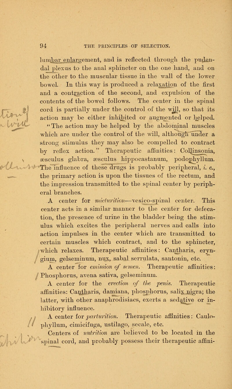 lumbar enlargement, and is reflected through the puden- dal plexus to the anal sphincter on the one hand, and on the other to the muscular tissue in the wall of the lower bowel. In this way is produced a relaxation of the first and a contraction of the second, and expulsion of the contents of the bowel follows. The center in the spinal cord is partially under the control of the will, so that its action may be either inhibited or augmented or helped.  The action may be helped by the abdominal muscles which are under the controlof the will, although under a strong stimulus they may also be compelled to contract by reflex action. Therapeutic affinities: ColIJnisonia, v sesculus glabra, sesculus hippocastanum, podophyllum. The influence of these drugs is probably peripheral, i. e., the primary action is upon the tissues of the rectum, and the impression transmitted to the spinal center by periph- eral branches. A center for micturition—vesico-spinal center. This center acts in a similar manner to the center for defeca- tion, the presence of urine in the bladder being the stim- ulus which excites the peripheral nerves and calls into action impulses in the center which are transmitted to certain muscles which contract, and to the sphincter, which relaxes. Therapeutic affinities: Cantharis, eryn- gium, gelseminum, nux, sabal serrulata, santonin, etc. A center for emission of semen. Therapeutic affinities: / Phosphorus, avena sativa, gelseminum. A center for the erection of the penis. Therapeutic affinities: Cantharis, damiana, phosphorus, salix nigra; the latter, with other anaphrodisiacs, exerts a sedative or in- hibitory influence. A center for parturition. Therapeutic affinities: Caulo- phyllum, cimicifuga, ustilago, secale, etc. Centers of nutrition are believed to be located in the spinal cord, and probably possess their therapeutic affini- //