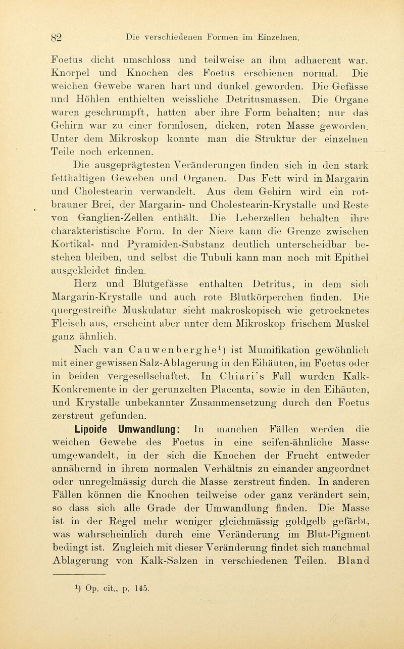 Foetus diclit umscliloss und teilweise an ihm adhaerent war. Knorpel und Knochen des Foetus erschienen normal. Die weichen Grewebe waren hart und dunkel, geworden. Die Grefässe und Höhlen enthielten weissliche Detritusmassen. Die Organe waren geschrumpft, hatten aber ihre Form behalten; nur das Gehirn war zu einer formlosen, dicken, roten Masse geworden. Unter dem Mikroskop konnte man die Struktur der einzelnen Teile noch erkennen. Die ausgeprägtesten Veränderungen finden sich in den stark fetthaltigen Geweben und Organen. Das Fett wird in Margarin und Cholestearin verwandelt. Aus dem Gehirn wird ein rot- brauner Brei, der Margaiin- und Cholestearin-Krystalle und ßeste von Ganglien-Zellen enthält. Die Leberzellen behalten ihi'e charakteristische Form. In der Niere kann die Grenze zwischen Kortikal- nnd Pyramiden-Substanz deutlich unterscheidbar be- stehen bleiben, und selbst die Tubuli kann man noch mit Epithel ausgekleidet finden. Herz und Blutgefässe enthalten Detritus, in dem sich Mai'garin-Krystalle und auch rote Blutkörperchen finden. Die quergestreifte Muskulatur sieht makroskopisch wie getrocknetes Fleisch aus, erscheint aber unter dem Mikroskop frischem Muskel ganz ähnlich. Nach van Cauwenberghe^) ist Mumifikation gewöhnlich mit einer gewissen Salz-Ablagerung in den Eihäuten, im Foetus oder in beiden vergesellschaftet. In Chiari's Fall wurden Kalk- Konkremente in der gerunzelten Placenta, sowie in den Eihäuten, und Krystalle unbekannter Zusammensetzung durch den Foetus •zerstreut gefunden. Lipoide Umwandlung: In manchen Fällen werden die weichen Gewebe des Foetus in eine seifen-ähnliche Masse Timgewandelt, in der sich die Knochen der Frucht entweder annähernd in ihrem normalen Verhältnis zu einander angeordnet oder unregelmässig durch die Masse zerstreut finden. In anderen Fällen können die Knochen teilweise oder ganz verändert sein, 80 dass sich alle Grade der Umwandlung finden. Die Masse ist in der Regel mehr weniger gieichmässig goldgelb gefärbt, w^as wahrscheinlich durch eine Veränderung im Blut-Pigment bedingt ist. Zugleich mit dieser Veränderung findet sich manchmal Ablagerung von Kalk-Salzen in verschiedenen Teilen. Bland