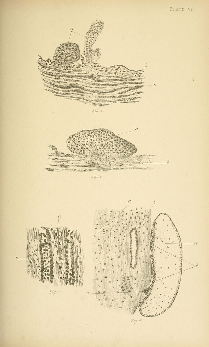 **^5v, ^*^ % —-W^M l! 1 Wk T-i^^.^. i^zy. #.