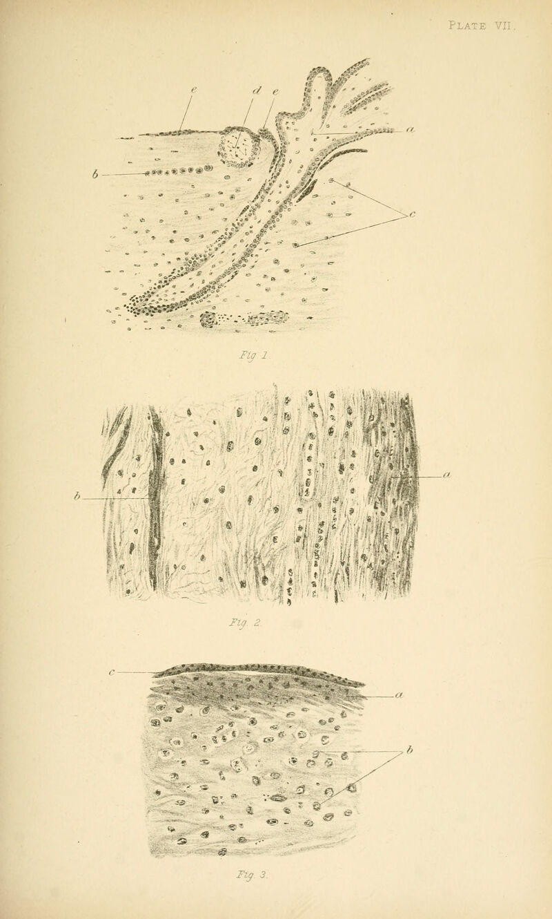 :^.^^****^ • %'flt * /■zy i ^Z(7. 2 '■'■«!»»., ™:^v. <K= *■> .^S ci-, ■'■ ' p; ,.^ ■■•J ^ 'f^/'^ <9 T-jy. 5.