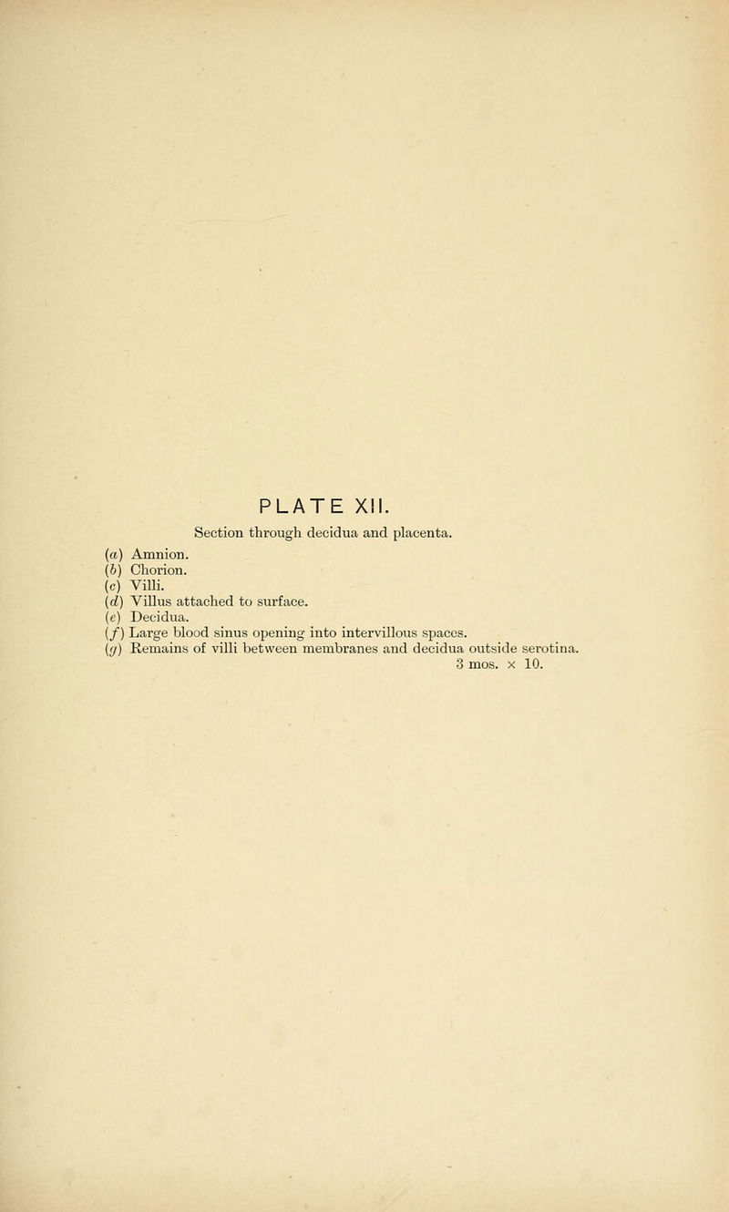 Section through decidua and placenta. (a) Amnion. (b) Chorion. (c) Villi. {d) Villus attached to surface, (e) Decidua. (/) Large blood sinus opening into intervillous spaces. {g) Remains of villi between membranes and decidua outside serotina.
