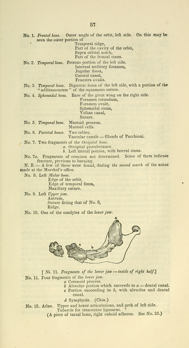No. 1. Frontal hone. Outer angle of the orbit, left side. On this may be seen the outer portion of Temporal ridge, Part of the cavity of the orbit, Supra orbital notch, Part of the frontal sinus. No. 2. Temporal bone. Petrous portion of the left side. Internal auditory foramen, Jugular fossa, Carotid canal. Fenestra ovalis. No. 3. Temporal bone. Digastric fossa of the left side, with a portion of the  additamentum  of the squamous suture. No. 4. Sphenoidal bone. Base of the great wing on the right side. Foramen rotundum, Foramen ovale. Sphenoidal sinus, Vidian canal, Suture. No. 5. Temporal bone. Mastoid process. Mastoid cells. No. 6. Parietal bones. Two tables. Vascular canals — Glands of Pacchioni. No. 7. Two fragments of the Occipital bone. a. Occipital protuberance. b. Left lateral portion, with lateral sinus. No. la. Fragments of cranium not determined. Some of them indicate fracture, previous to burning. N. B. — A few of these were found, during the second search of the ashes made at the Marshal's office. No. 8. Left Malar bone. Edge of the orbit. Edge of temporal fossa. Maxillary sutixre. No. 9. Left Upper jaro. Antrum, Suture fitting that of No. 8, Ridge. No. 10. One of the condyles of the lower jaro. a. [ No. 11. Fragments of the lorver jaw — inside of right half.] No. 11. Four fragments of the lower jaw. a Coronoid process. b Alveolar portion which succeeds to a — dental canal. c Portion succeeding to b, with alveolus and dental canal. d Symphysis. (Chin.) No. 12. Atlas. Upper and lower articulations, and arch of left side. Tubercle for transverse ligament. '• (A piece of tarsal bone, right cuboid adheres. See No. 25.)