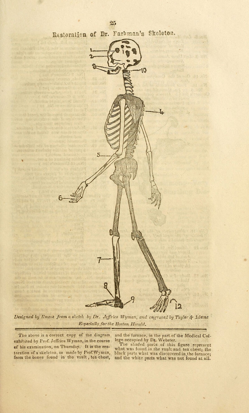 Ustoraiion of Dr. Far^^masi's Skeleten. 6—: Designed by Romse from a slictch by Dr. Jeffries Wyrnan, and engraved by Taylor i^ Adains Es-pedalhi for the Boston Herald. The above is a correct copy of the diagram and the furnace, in the part of the Medical Col- exhihiled by Prof. Jeffries Wyman, in the course lege occupied by Dr. Webster, cf his examinalion, on Thursday. It is the res- .'^^^ shaded paris of this figure represent ' ^ what was found in the vault and tea chest; the tsration of a skeleton, as made by Prof.Wyman, black parts what was discovered in the furnace; from the faones found in the vault, tea chest, and the white parts what was not found at all.