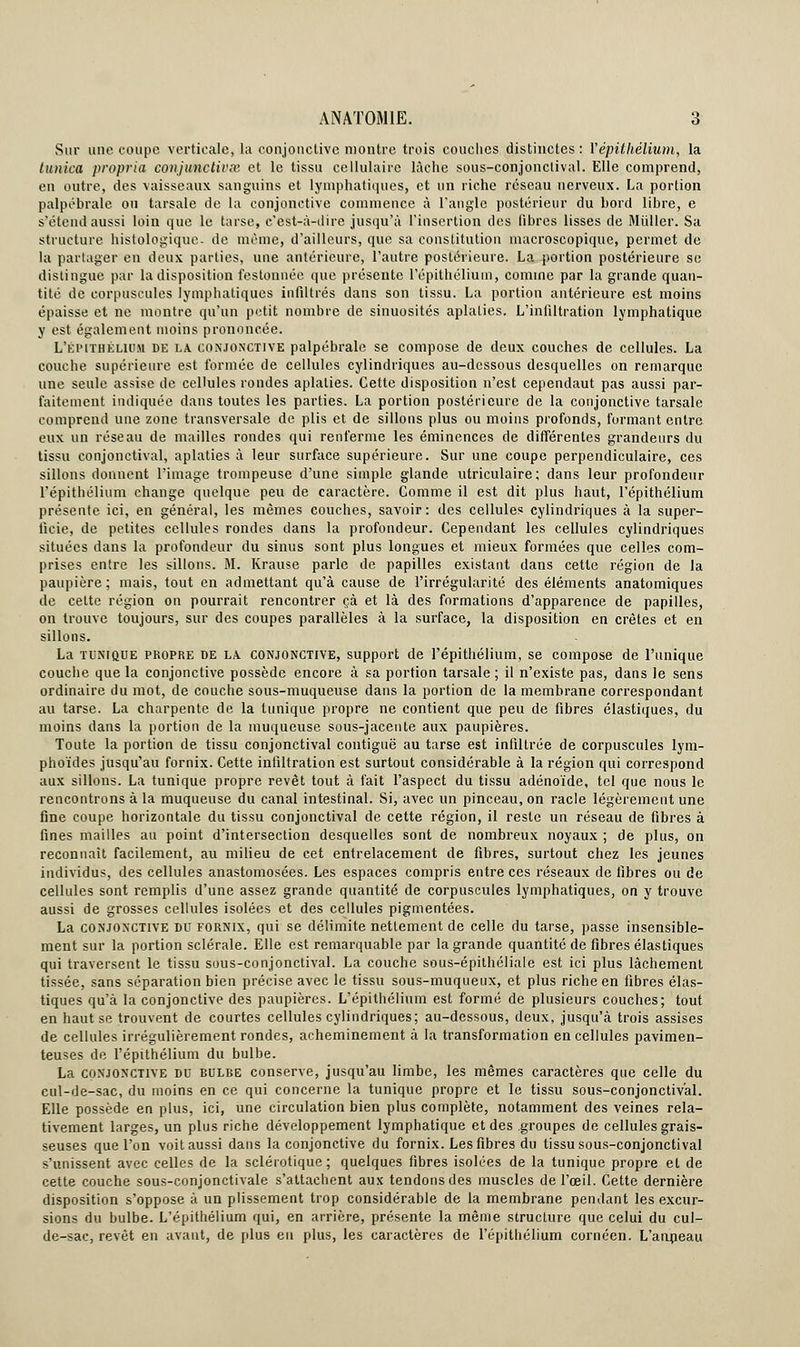 Sur une coupe verticale, la conjonctive montre trois couches distinctes : Vépithélium, la tunica propria conjunctivx et le tissu cellulaire lâche sous-conjonctival. Elle comprend, en outre, des vaisseaux sanguins et lymphatiques, et un riche réseau nerveux. La portion palpébrale ou tarsale de la conjonctive commence à l'angle postérieur du bord libre, e s'étend aussi loin que le tarse, c'est-à-dire jusqu'à l'insertion des fibres lisses de Millier. Sa structure histologique- de même, d'ailleurs, que sa constitution macroscopique, permet de la partager en deux parties, une antérieure, l'autre postérieure. La portion postérieure se distingue par la disposition festonnée que présente l'épithélium, comme par la grande quan- tité de corpuscules lymphatiques infiltrés dans son tissu. La portion antérieure est moins épaisse et ne montre qu'un petit nombre de sinuosités aplaties. L'infiltration lymphatique y est également moins prononcée. L'épithélium de la conjonctive palpébrale se compose de deux couches de cellules. La couche supérieure est formée de cellules cylindriques au-dessous desquelles on remarque une seule assise de cellules rondes aplaties. Cette disposition n'est cependaut pas aussi par- faitement indiquée dans toutes les parties. La portion postérieure de la conjonctive tarsale comprend une zone transversale de plis et de sillons plus ou moins profonds, formant entre eux un réseau de mailles rondes qui renferme les éminences de différentes grandeurs du tissu conjonctival, aplaties à leur surface supérieure. Sur une coupe perpendiculaire, ces sillons donnent l'image trompeuse d'une simple glande utriculaire; dans leur profondeur l'épithélium change quelque peu de caractère. Comme il est dit plus haut, l'épithélium présente ici, en général, les mêmes couches, savoir: des cellules cylindriques à la super- ficie, de petites cellules rondes dans la profondeur. Cependant les cellules cylindriques situées dans la profondeur du sinus sont plus longues et mieux formées que celles com- prises entre les sillons. M. Krause parle de papilles existant dans cette région de la paupière; mais, tout en admettant qu'à cause de l'irrégularité des éléments anatomiques de cette région on pourrait rencontrer çà et là des formations d'apparence de papilles, on trouve toujours, sur des coupes parallèles à la surface, la disposition en crêtes et en sillons. La tunique propre de LA conjonctive, support de l'épithélium, se compose de l'unique couche que la conjonctive possède encore à sa portion tarsale ; il n'existe pas, dans le sens ordinaire du mot, de couche sous-muqueuse dans la portion de la membrane correspondant au tarse. La charpente de la tunique propre ne contient que peu de fibres élastiques, du moins dans la portion de la muqueuse sous-jacente aux paupières. Toute la portion de tissu conjonctival contiguë au tarse est infiltrée de corpuscules lym- phoïdes jusqu'au fornix. Cette infiltration est surtout considérable à la région qui correspond aux sillons. La tunique propre revêt tout à fait l'aspect du tissu adénoïde, tel que nous le rencontrons à la muqueuse du canal intestinal. Si, avec un pinceau, on racle légèrement une fine coupe horizontale du tissu conjonctival de cette région, il reste un réseau de fibres à fines mailles au point d'intersection desquelles sont de nombreux noyaux ; de plus, on reconnaît facilement, au milieu de cet entrelacement de fibres, surtout chez les jeunes individus, des cellules anastomosées. Les espaces compris entre ces réseaux de libres ou de cellules sont remplis d'une assez grande quantité de corpuscules lymphatiques, on y trouve aussi de grosses cellules isolées et des cellules pigmentées. La conjonctive du fornix, qui se délimite nettement de celle du tarse, passe insensible- ment sur la portion sclérale. Elle est remarquable par la grande quantité de fibres élastiques qui traversent le tissu sous-conjonctival. La couche sous-épithéliale est ici plus lâchement tissée, sans séparation bien précise avec le tissu sous-muqueux, et plus riche en fibres élas- tiques qu'à la conjonctive des paupières. L'épithélium est formé de plusieurs couches; tout en haut se trouvent de courtes cellules cylindriques; au-dessous, deux, jusqu'à trois assises de cellules irrégulièrement rondes, acheminement à la transformation en cellules pavimen- teuses de l'épithélium du bulbe. La conjonctive du bulbe conserve, jusqu'au limbe, les mêmes caractères que celle du cul-de-sac, du moins en ce qui concerne la tunique propre et le tissu sous-conjonctival. Elle possède en plus, ici, une circulation bien plus complète, notamment des veines rela- tivement larges, un plus riche développement lymphatique et des groupes de cellules grais- seuses que l'on voit aussi dans la conjonctive du fornix. Les fibres du tissu sous-conjonctival s'unissent avec celles de la sclérotique; quelques fibres isolées de la tunique propre et de cette couche sous-conjonctivale s'attachent aux tendons des muscles de l'œil. Cette dernière disposition s'oppose à un plissement trop considérable de la membrane pendant les excur- sions du bulbe. L'épithélium qui, en arrière, présente la même structure que celui du cul- de-sac, revêt en avant, de plus eu plus, les caractères de l'épithélium cornéen. L'anneau