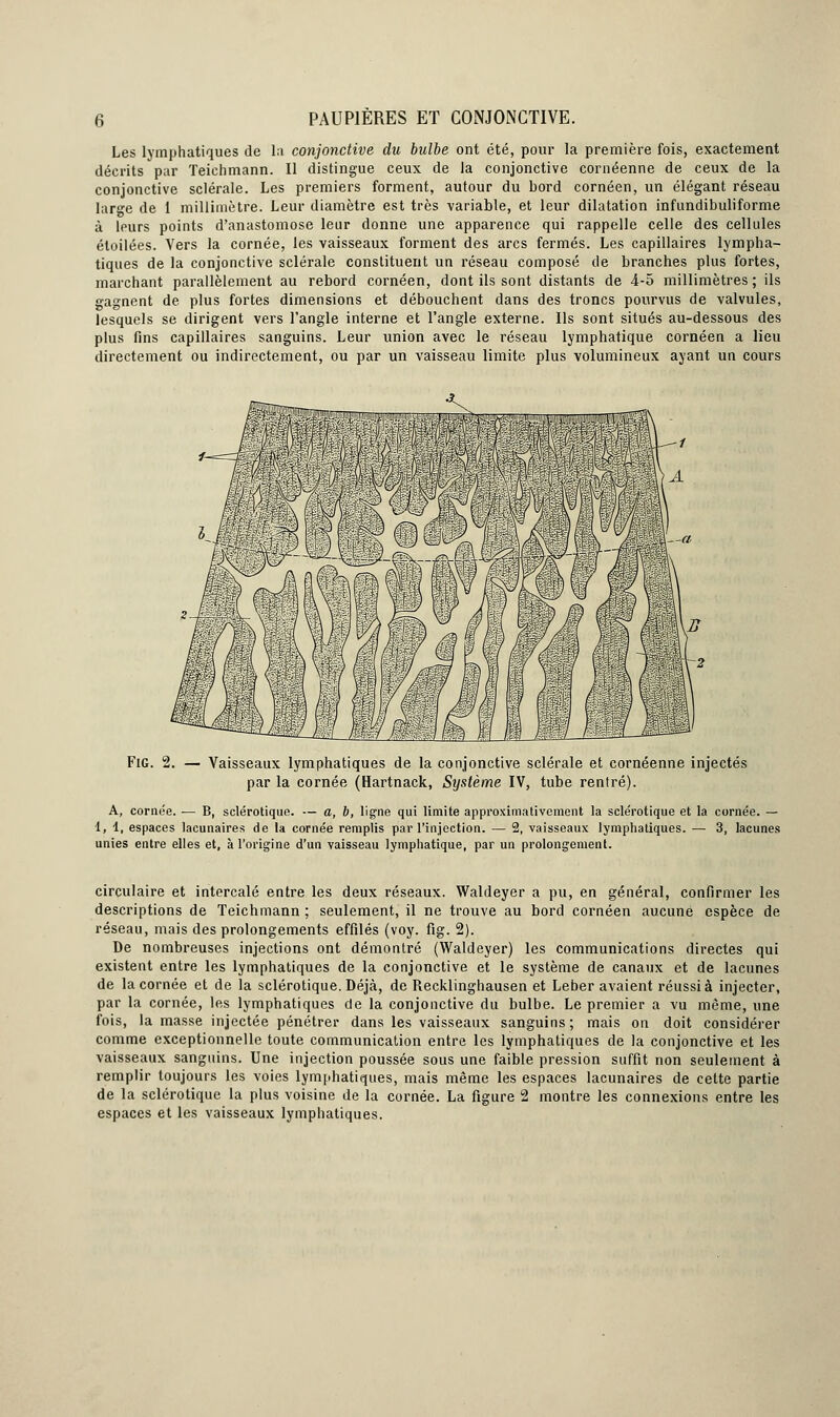 Les lymphatiques de la conjonctive du bulbe ont été, pour la première fois, exactement déerits par Teichmann. Il distingue ceux de la conjonctive cornéenne de ceux de la conjonctive sclérale. Les premiers forment, autour du bord cornéen, un élégant réseau large de 1 millimètre. Leur diamètre est très variable, et leur dilatation infundibuliforme à leurs points d'anastomose leur donne une apparence qui rappelle celle des cellules éloilées. Vers la cornée, les vaisseaux forment des arcs fermés. Les capillaires lympha- tiques de la conjonctive sclérale constituent un réseau composé de branches plus fortes, marchant parallèlement au rebord cornéen, dont ils sont distants de 4-5 millimètres; ils gagnent de plus fortes dimensions et débouchent dans des troncs pourvus de valvules, lesquels se dirigent vers l'angle interne et l'angle externe. Ils sont situés au-dessous des plus fins capillaires sanguins. Leur union avec le réseau lymphatique cornéen a lieu directement ou indirectement, ou par un vaisseau limite plus volumineux ayant un cours FiG. 2. — Vaisseaux lymphatiques de la conjonctive sclérale et cornéenne injectés par la cornée (Hartnack, Système IV, tube rentré). A, cornée. — B, sclérotique. — a, b, ligne qui limite approximativement la sclérotique et la cornée. — l, 1, espaces lacunaires de la cornée remplis par l'injection. — % vaisseaux lymphatiques. — 3, lacunes unies entre elles et, à l'origine d'un vaisseau lymphatique, par un prolongement. circulaire et intercalé entre les deux réseaux. Waldeyer a pu, en général, confirmer les descriptions de Teichmann ; seulement, il ne trouve au bord cornéen aucune espèce de réseau, mais des prolongements effilés (voy. fig. 2). De nombreuses injections ont démontré (Waldeyer) les communications directes qui existent entre les lymphatiques de la conjonctive et le système de canaux et de lacunes de la cornée et de la sclérotique. Déjà, de Recklinghausen et Leber avaient réussi à injecter, par la cornée, les lymphatiques de la conjonctive du bulbe. Le premier a vu même, une fois, la masse injectée pénétrer dans les vaisseaux sanguins; mais on doit considérer comme exceptionnelle toute communication entre les lymphatiques de la conjonctive et les vaisseaux sanguins. Une injection poussée sous une faible pression suffit non seulement à remplir toujours les voies lymphatiques, mais même les espaces lacunaires de cette partie de la sclérotique la plus voisine de la cornée. La figure 2 montre les connexions entre les espaces et les vaisseaux lymphatiques.