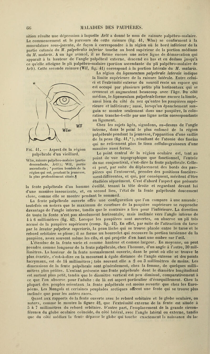 sition résulte une dépression à laquelle Arlt a donné le nom de rainure palpébro-malaire. Le commencement et le parcours de cette rainure (fig. 41, W/m) se conforment à la musculature sous-jacente, de façon à correspondre à la région où le bord inférieur de la partie cutanée du M. palpebralis inferior touche au bord supérieur de la portion médiane du M. malaris. A un âge avancé, il se forme encore une autre ligne de démarcation qui apparaît à la hauteur de l'angle palpébral externe, descend en bas et en dedans jusqu'à ce qu'elle atteigne le pli palpébro-malaire (portion ascendante du pli palpébro-malaire de Arlt). Cette seconde rainure (W/Z, fig. 41) correspond à la portion latérale du M. malaris. La région du ligamenlum palpebrale latérale indique la limite supérieure de la rainure latérale. Entre celui- ci et l'extrémité externe du sourcil reste un espace qui est occupé par plusieurs petits plis horizontaux qui se creusent et augmentent beaucoup avec l'âge. Du côté médian, le ligamentum palpebrale forme encore la limite, aussi bien du côté du nez qu'entre les paupières supé- rieure et inférieure; aussi, lorsqu'un épanchement san- guin se montre seulement dans une paupière, la colo- ration tranche-t-elle par une ligne nette correspondante au ligament. Chez les sujets âgés, signalons, au-dessus de l'angle interne, dans le point le plus enfoncé de la région palpebrale pendant la jeunesse, l'apparition d'une saillie de la peau (fig. 41,*), résultant de l'atonie des fascias qui ne retiennent plus le tissu cellulo-graisseux d'une manière aussi ferme. Le point central de la région oculaire est, tant au point de vue topographique que fonctionnel, l'entrée du sac conjonctival, c'est-dire la fente palpebrale. Celle- ci peut, par suite du déplacement des bords des pau- pières qui l'entourent, prendre des positions foncière- ment différentes, et qui, par conséquent, méritent d'être étudiées séparément. C'est d'abord l'aspect que présente la fente palpebrale d'un homme éveillé, tenant la tête droite et regardant devant lui d'une manière insouciante, et, en second lieu, l'état de la fente palpebrale doucement close, comme elle se montre pendant le sommeil. La fente palpebrale ouverte offre une configuration que l'on compare à une amande ; toutefois on notera que le maximum de courbure de la paupière supérieure se rapproche davantage de l'angle interne, tandis que le contraire a lieu pour l'inférieure. La direction de toute la fente n'est pas absolument horizontale, mais inclinée vers l'angle interne de 4 à 6 millimètres (fig. 42). Lorsque les paupières sont ouvertes, on observe un pli très accusé de la paupière supérieure (comp. fig. 42). En effet, par suite de l'attraction du tarse par le levator palpebrx superioris, la peau lâche qui se trouve placée entre le tarse et le rebord orbitaire se plisse; il se forme un bourrelet qui recouvre la portion tarsienne de la paupière, assez souvent même les cils, et qui projette d'en haut une ombre sur l'oeil. L'étendue de la fente varie et comme hauteur et comme largeur. En moyenne, on peut prendre comme longueur de la fente palpebrale, chez l'homme, d'un angle à l'autre, 30 mil- limètres. La hauteur de la fente normalement ouverte, dans le point où elle se trouve le plus écartée, c'est-à-dire en la mesurant à égale distance de l'angle externe et des points lacrymaux, est de 14 millimètres; très souvent elle a 2 ou 3 millimètres de moins. Les dimensions de la fente palpebrale sont généralement, chez la femme, de quelques milli- mètres plus petites. L'enfant présente une fente palpebrale dont le diamètre longitudinal est surtout plus petit, tandis que le diamètre vertical est peu diminué, comparativement à ce que l'on observe pour l'adulte : de là cet aspect particulier d'écarquillement. Chez la plupart des peuples orientaux la fente palpebrale est moins ouverte que chez les Euro- péens. Les Mongols et certaines peuplades arctiques offrent une fente qui se trouve plus inclinée que pour les autres races. Quant aux rapports de la fente ouverte avec le rebord orbitaire et le globe oculaire, on notera, comme le montre la figure 42, que l'extrémité externe de la fente est située à 5 à 7 millimètres du rebord orbitaire. D'autre part, l'emplacement de la grande circon- férence du globe oculaire coïncide, du côté latéral, avec l'angle latéral ou externe, tandis que du côté médian la fente dépasse le globe qui touche exactement la naissance du lac Fig. 41. — Aspect de la région palpebrale d'un vieillard. Wtoi, rainure palpébro-malaire (partie descendante, Arlt ) ; Wil, partie ascendante ; * portion bombée de la région qui est, pendant la jeunesse, la plus profondément située.§