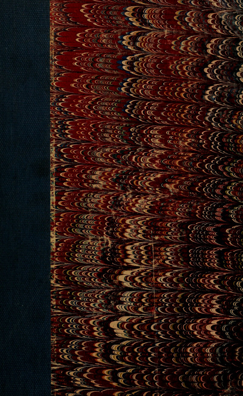 «;<CC<U 31 Cçv<. ^<<S8K r%V ■■■<- r< « Ce < c os S ' < :^ .s«L £7$ JPfigj ( i c CC CC «T ( { ' C ' C c ce « - ! c fece c ace ce (, (