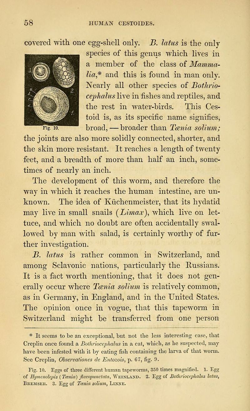 covered with one egg-shell only. B. latus is the only species of this genus which lives in a member of the class of Mamma- lia* and this is found in man only. Nearly all other species of Bothrio- cephalus live in fishes and reptiles, and the rest in water-birds. This Ces- toid is, as its specific name signifies, Fig. 10. broad, — broader than T<Enia solium; the joints are also more solidly connected, shorter, and the skin more resistant. It reaches a length of twenty feet, and a breadth of more than half an inch, some- times of nearly an inch. The development of this worm, and therefore the way in which it reaches the human intestine, are un- known. The idea of Kuchenmeister, that its hydatid may live in small snails (Limax), which live on let- tuce, and which no doubt are often accidentally swal- lowed by man with salad, is certainly worthy of fur- ther investigation. B. latus is rather common in Switzerland, and among Sclavonic nations, particularly the Russians. It is a fact worth mentioning, that it does not gen- erally occur where Tcenia solium is relatively common, as in Germany, in England, and in the United States. The opinion once in vogue, that this tapeworm in Switzerland might be transferred from one person * It seems to be an exceptional, but not the less interesting ease, that Creplin once found a Botliriocephalus in a cat, -which, as he suspected, may have been infested -with it by eating fish containing the larva of that worm. See Creplin, Observaiiones de Entozois, p. 67, fig. 9. Fig. 10. Eggs of three different human tapeworms, 350 times magnified. 1. Egg of Hymenolejris ( Tcenia) flavopunciala, Weinlaxd. 2. Egg of Bothriocejyhalus latus, Bkemsee. 3. Egg of Tcenia solium, Linxe.