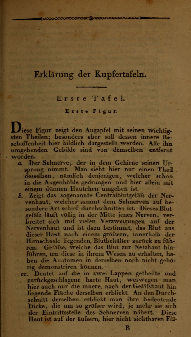 ;oooocKxxxxx»joo9c3aoooojoooc>jc>300iaa Erklärung der Kupfertafeln. Erste Tafel. Ettte Figur. D lese Figur zeigt den Augapfel mit seinen vn'chtig- sten Theilen: besonders aber soll dessen innere Be- schafFenheit hier bildlich dargestellt werden. Alle ihn umgebenden Gebilde sind von demselben entfernt worden. a. Der Sehnene, der in dem Gehirne seinen Ur- sprung nimmt Man sieht hier nur einen Theil desselben, nämlich denjenigen, welcher schon in die Augenhöhle gedrungen und hier allein mit einem dünnen Häutchen umgeben ist. b, Zei^t das sogenannte Centralblutgefafs der Ner- venhaut, welches sammt dem Sehnerxen auf be- sondere Art schief durchschnitten isL I>ieses Blut- gefäfs läuft völlig in der Mitte jenes Nerven, ver- breitet sich mit vielen Verzvreigungen auf der Nervenhaut und ist dazu bestimmt, das Blut aus dieser Hawt nach einem gröfsern, innerhalb der Himschaale liegenden, Blutbehälter zurück zu füh- ren. Gefäfse, weiche das B!ut zur Netzhaut hin- führen, um diese in ihrem Wesen zu erhalten, ha- ben die Anatomen in derselben noch nicht gehö- rig demonstriren können. cc. Deutet auf die in z^vei Lappen getheilte und zurückgeschlagene harte Haut, weswegen man hierauch nur die innere, nach der Gefafshaut hin liegende Fläche derselben erblickt An den Durch- schnitt derselben erblickt man ihre bedeutende Dicke, die um so gröfser \%nrd, je mehr sie sich der Eintrittsstelle des Sehnerven nähert Diese Haut ist auf der äufsem, hier nicht sichtbaren Flä- R