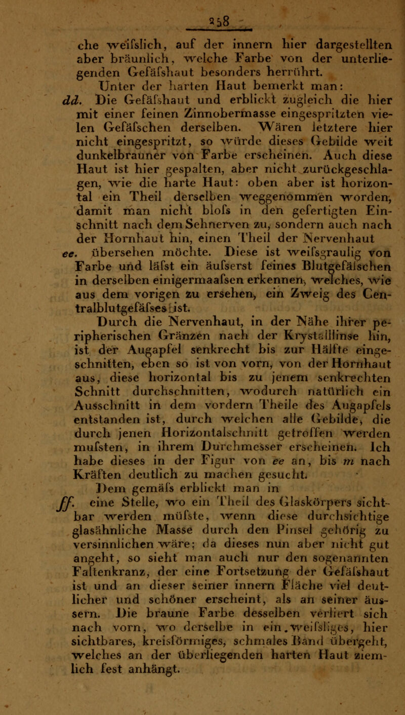 ^b8 che weifslich, auf der innern hier dargestellten aber bräunlich, -vrelche Farbe von der unterlie- genden Gefäfshaut besonders herrührt. Unter der harten Haut bemerkt Uian: dd. Die Gefäfshaut und erblickt zugleich die hier mit einer feinen Zinnoberniasse eingespritzten vie- len Gefäfschen derselben. Wären letztere hier nicht eingespritzt, so würde dieses Gebilde weit dunkelbrauner von Farbe erscheinen. Auch diese Haut ist hier gespalten, aber nicht zurückgeschla- gen, wie die harte Haut: oben aber ist horizon- tal ein Theil derselben weggenommen v^^orden, damit man nicht blofs in den gefertigten Ein- schnitt nach dem Sehnerven zu, sondern auch nach der Hornhaut hin, einen llieil der Nervenhaut ee, übersehen möchte. Diese ist weifsgraulig von Farbe und läfst ein äufserst feines Blutgefälschen in derselben einigermaafsen erkennen^ welches, wie aus dem vorigen zu ersehen, ein Zweig des Cen- tralblutgefäfse&i ist. Durch die Nervenhaut, in der Nähe ihrer pe- ripherischen Gränzen nach der Kry st all linse lun, ist der Augapfel senkrecht bis zur Hälfte einge- schnitten, eben so ist von vorn, von der Hornhaut aus, diese horizontal bis zu jenem senkrechten Schnitt durchschnitten, wodurch natürlich ein Ausschnitt in dem vordem Theile des Augapfels entstanden ist, durch welchen alle (iebilde^ die durch jenen Horizontalschnitt getroffen werden mufsten, in ihrem Durchmesser erscheinen. Ich habe dieses in der Figur von ee an, bis m nach Kräften deutlich zu machen gesucht. 3)em gemäfs erblickt man in ff, eine Stelle, wo ein Tlieil des (xlaskörpers sicht- bar werden müfste, ^venn diese durchsichtige glasähnliche Masse durch den Pinsel gehörig zu versinnlichen wäre; da dieses nun aber nicht gut angeht, so sieht man auch nur den sogenannten Faltenkranz, der eine Fortsetzung der Gefäfshaut ist und an dieser seiner innern Fläche viel deut- hcher und schöner erscheint, als an seiner äus- sern. Die braune Farbe desselben verliert sich nach vorn, v^'^o derselbe in ein .weifsliges, hier sichtbares, kreisförmiges, schmales Band übergeht, welches an der überliegenden harten Haut ssiem- hch fest anhängt.