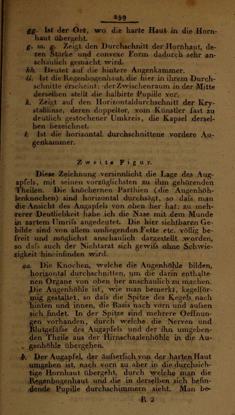 8|9 gg. Ist der Ort, wo die harte Haut in die Horn- haut üi)ergeht, g. TU. g. Zeigt den Durchschnitt der Hornhaut, de- ren Stärke und convexe Form dadurch sehr an- schaulich gemacht 'wird. hk, l)eute>t auf die hintere Augenkammer. iV. Ist die Regenbogenhaut, die hier in ihrem Durch- schnitte erscheint;'derZ^vischenraum in der Mitte derselben stellt die halbirte Pupille vor. Ä. Zeigt auf den Horizontaldurchschnitt der Kry- stalliinse, deren doppelter, vom Künstler fast zu deutlich gestochener Umkreis, die Kapsel dersel- ben bezeichnet, /. Ist die horizontal durchschnittene vordere Au- genkammer. Zweit« Figur. Diese Zeichnung versinnlicht die Lage des Aug- apfels, mit seinen vorzüglichsten zu ihm gehörenden Theilen. Die knöchernen Parthien (die Augenhöh- lenknochen) sind horizontal durchsägt, so dal's man die Ansicht des Augapfels von oben her hat; zu meh- rerer Deutlichkeit habe ich die Nase mit dem Munde in zartem ümrifs angedeutet. Die hier sichtbaren Ge- bilde sind von allem umliegenden Fette etc. völlig be- freit und möglichst anschaulich darges,tellt worden, so d^ifs auch der Nichtarzt sich gewifs ohne Schwie- i^igkeit hineinfinden wird. qa. Die Knochen, w^elche die Augenhöhle bilden, horizontal durchschnitten, um die darin enthalte- nen Organe von oben her anschaulich zu machen. Die Augenhöhle ist, wie man bemerkt, kegelför- mig gestaltet, so dafs die Spitze des Kegels nach hinten und innen, die Basis nach vorn und aufsen sich findet. In der Spitze sind mehrere Oeffnun- gen vorhanden, durch welche die Nerven und felutgefäfse des Augapfels und der ihn umgeben- den Theile aus der Hirnschajalenhöhi<^ in die Au- genhöhle übergehen. J. Der Augapfel, der äufsertickvon der harten Haut mngeben ist, nach vorn zu aber in die durchsich- tige Hornhaut übergeht, durch welche man die Regenbogenhaut und die in derselben sich befin- denda Pupille durchschimmern sieht. Man be^ R 2