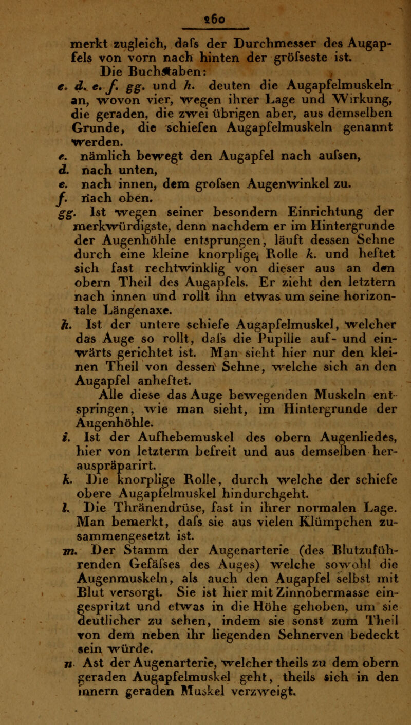 «6o merkt zugleich, dafs der Durchmesser des Augap- fels von vorn nach hinten der gröfseste ist. Die BuchÄaben: €* d. €. f. gg. und A. deuten die Augapfelmuskeln an, wovon vier, wegen ihrer Lage und Wirkung, die geraden, die zwei übrigen aber, aus deinselben Grunde, die schiefen Augapfelmuskeln genannt werden. e. nämlich bewegt den Augapfel nach aufsen, J. nach unten, e. nach innen, dem grofsen Augenwinkel zu. f, riach oben. gg. Ist wegen seiner besondern Einrichtung der merkwürdigste, denn nachdem er im Hintergrunde der Augenhöhle entsprungen, läuft dessen Sehne durch eine kleine knorplige^ Rolle k. und heftet sich fast rechtwinklig von dieser aus an d«n obern Theil des Augapfels. Er zieht den letztern nach innen und rollt ihn etwas um seine horizon- tale Längenaxc. Ä. Ist der untere schiefe Augapfelmuskel, Welcher das Auge so rollt, dafs die Pupille auf- und ein- wärts gerichtet ist. Man sieht hier nur den klei- nen Theil von dessen Sehne, v\^elche sich an den Augapfel anheftet. Alle diese das Auge bewegenden Muskeln ent- springen, ^vie man sieht, im Hintergrunde der Augenhöhle. f. Ist der Aufhebemuskel des obern Augenliedes, hier von letzterm befreit und aus demselben her- auspräparirt. Ä. Die knorplige Rolle, durch welche der schiefe obere Augapfelmuskel hindurchgeht. l. Die Thränendrüse, fast in ihrer normalen J^age. Man bemerkt, dafs sie aus vielen Klümpchen zu- sammengesetzt ist. jn. Der Stamm der Augenarterie (des BlutzuJfüh- renden Gefäfses des Auges) welche sowohl die Augenmuskeln, als auch den Augapfel selbst mit Blut versorgt. Sie ist hier mit Zinnobermasse ein- Sespritzt und etwas in die Höhe gehoben, um sie eutlicher zu sehen, indem sie sonst zum Theil Yon dem neben ihr liegenden Sehnerven bedeckt sein v^'^ürde. w Ast der Augenarterie, welcher theils zu dem obern geraden Augapfelmuvskel geht, theils sich in den innern geraden Bluökel vcrzAreigt»