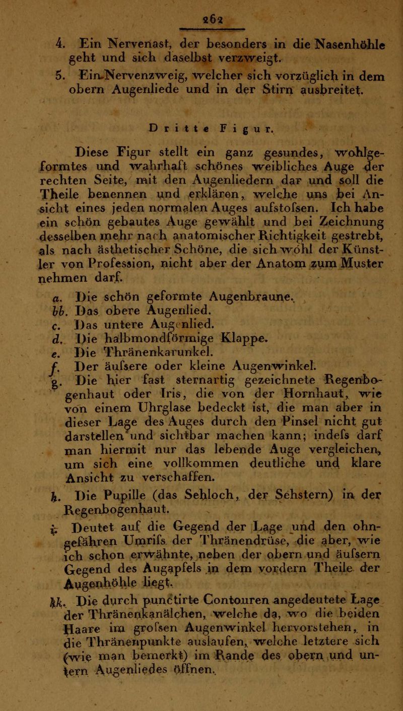 26« 4. Ein Nervenast, der besonders in die Nasenhöhle geht und sich daselbst verzweigt. 5. Ein^Nervenz-weig, vrelcher sich vorzüglich in dem obern Augenliede und in der Stirn ausbreitet. Dritt« Figur. Diese Figur stellt ein ganz gesundes, wahlge- formtes und -wahrhaft schönes weibliches Auge der rechten Seite, mit den Augenliedern dar und soll die Theile benennen und erklären, welche uns bei An- sicht eines jeden normalen Auges aufstofsen. Ich habe ein schön gebautes Auge gewählt und bei Zeichnung desselben mehr nach anatomischer Richtigkeit gestrebt, ^Is nach ästhetischer Schöne, die sich wohl der Künst- ler von Profession, nicht aber der Anatona zum Muster nehmen darf. a. Die schön geformte Augenbraune., hb. Das obere Augenlied. c. Das untere Augcnlied. d. Die halbmondförmige Klappe, e. Die Thränenkarunkel. f. Der äufsere oder kleine Augen'winkel. g. Die hier fast sternartig gezeichnete Regenba- genhaut oder Iris, die von der Hornhaut, wie von einem Uhrglase bedeckt ist, die man aber in dieser Lage des Auges durch den Pinsel nicht gut darstellen und sichtbar machen kann; indefs darf man hiermit nur das lebende Auge vergleichen^ um sich eine vollkommen deutliche und klare Ansicht zu verschaffen. J. Die Pupille (das Sehloch, der Sehstern) in der Regenbogenhaut. ^ Deutet auf die Gegend der Lage und den ohn- gefähren Urnrifs der Thränendrüse, die aber, wie ich schon erwähnte, neben der obern und äufsern Gegend des Augapfels \n dem vordem Theile der ^yg^nhohle hegt. JtÄ:. Die dvrch punctirt^ Contouren angedeutete Lage der Thränenkanälchen, welche da, wo die beiden Haare im grofsen Augenwinkel hervorstehen, in die Thränenpunkte auslaufen, welche letztere sich (yvi^ man bemerkt) im Rande des obern und un- fern Augenliedes öffnen.