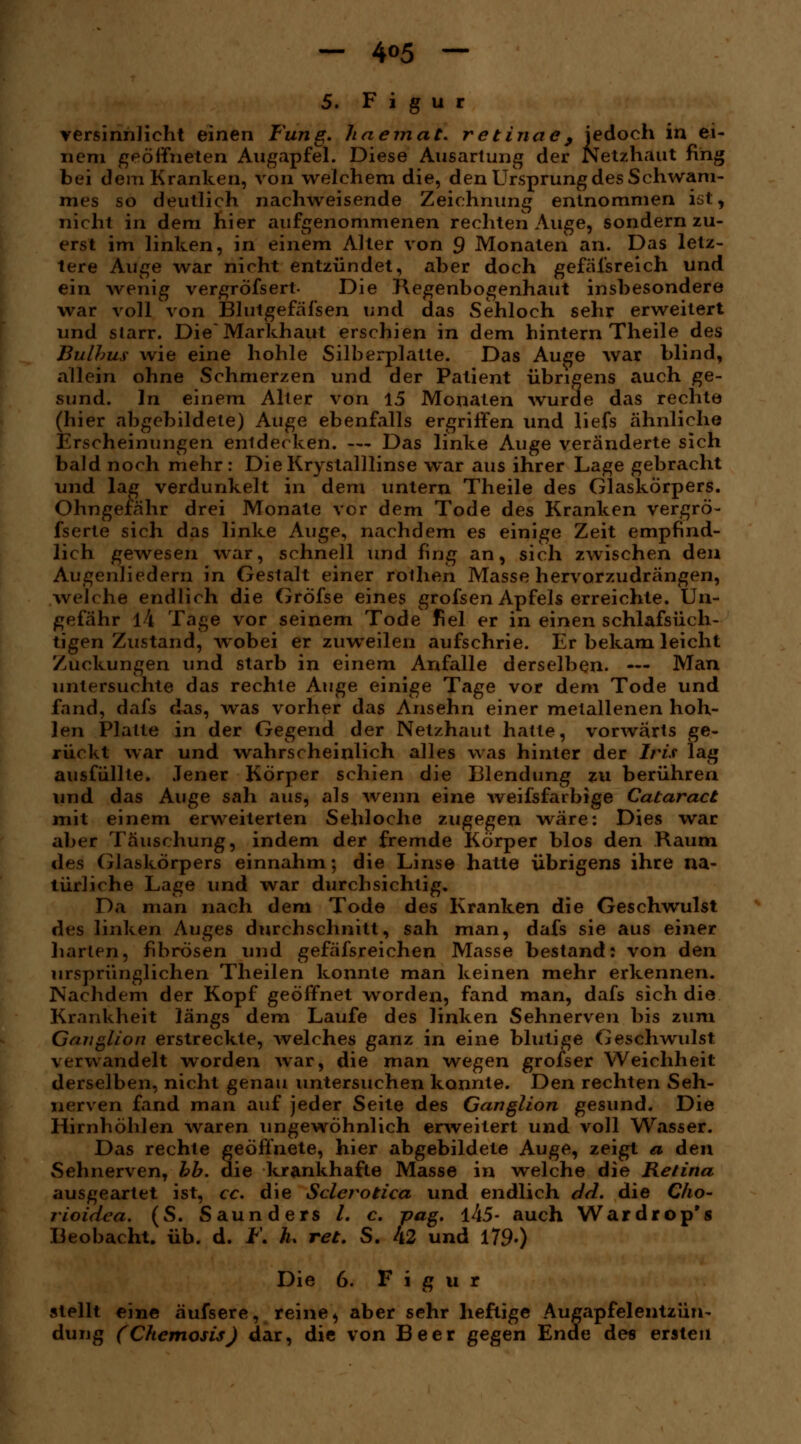 — 4^5 — 5. Figur versinnlicht einen Fang, haeinat. retinae, jedoch in ei- nem geöffneten Augapfel. Diese Ausartung der Netzhaut fing bei dem Kranken, von welchem die, den Ursprung des Schwam- mes so deutlich nachweisende Zeichnung entnommen ist, nicht in dem hier aufgenommenen rechten Auge, sondern zu- erst im linken, in einem Alter von 9 Monaten an. Das letz- tere Auge war nicht entzündet, aber doch gefäfsreich und ein wenig vergrößert- Die Regenbogenhaut insbesondere war voll von Blutgefässen und das Sehloch sehr erweitert und starr. Die Markhaut erschien in dem hintern Theile des Bulbus wie eine hohle Silberplatte. Das Auge war blind, allein ohne Schmerzen und der Patient übrigens auch ge- sund. In einem Alter von 15 Monaten wurde das rechte (hier abgebildete) Auge ebenfalls ergriffen und liefs ähnliche Erscheinungen entdecken. — Das linke Auge veränderte sich bald noch mehr: DieKryslalllinse war aus ihrer Lage gebracht und lag verdunkelt in dem untern Theile des Glaskörpers. Ohngerähr drei Monate vor dem Tode des Kranken vergrö- fserte sich das linke Auge, nachdem es einige Zeit empfind- lich gewesen war, schnell und fing an, sich zwischen den Augenliedern in Gestalt einer rothen Masse hervorzudrängen, welche endlich die Gröfse eines grofsen Apfels erreichte. Un- gefähr 14 Tage vor seinem Tode fiel er in einen schlafsüch- tigen Zustand, wobei er zuweilen aufschrie. Er bekam leicht Zuckungen und starb in einem Anfalle derselben. — Man untersuchte das rechte Auge einige Tage vor dem Tode und fand, dafs das, was vorher das Ansehn einer metallenen hoh- len Platte in der Gegend der Netzhaut hatte, vorwärts ge- rückt war und wahrscheinlich alles was hinter der Iris lag ausfüllte. Jener Körper schien die Blendung zu berühren und das Auge sah aus, als -wenn eine weifsfarbige Cataract mit einem erweiterten Sehloche zugegen wäre: Dies war aber Täuschung, indem der fremde Körper blos den Raum des Glaskörpers einnahm; die Linse hatte übrigens ihre na- türliche Lage und war durchsichtig. Da man nach dem Tode des Kranken die Geschwulst des linken Auges durchschnitt, sah man, dafs sie aus einer harten, fibrösen und gefäfsreichen Masse bestand: von den ursprünglichen Theilen konnte man keinen mehr erkennen. Nachdem der Kopf geöffnet worden, fand man, dafs sich die Krankheit längs dem Laufe des linken Sehnerven bis zum Ganglion erstreckte, welches ganz in eine blutige Geschwulst verwandelt worden war, die man wegen grofser Weichheit derselben, nicht genau untersuchen konnte. Den rechten Seh- nerven fand man auf jeder Seite des Ganglion gesund. Die Hirnhöhlen waren ungewöhnlich erweitert und voll Wasser. Das rechte geöffnete, hier abgebildete Auge, zeigt a den Sehnerven, bb. die krankhafte Masse in welche die Retina ausgeartet ist, cc. die Sclerotica und endlich dd. die Cho- rioidea. (S. Saunders /. c. pag. li5- auch Wardrop's Beobacht. üb. d. F. h* ret. S. 42 und 179-) Die 6. Figur stellt eine äufsere, reine, aber sehr heftige Augapfelentzün- düng (Chemosis) dar, die von Beer gegen Ende des ersten