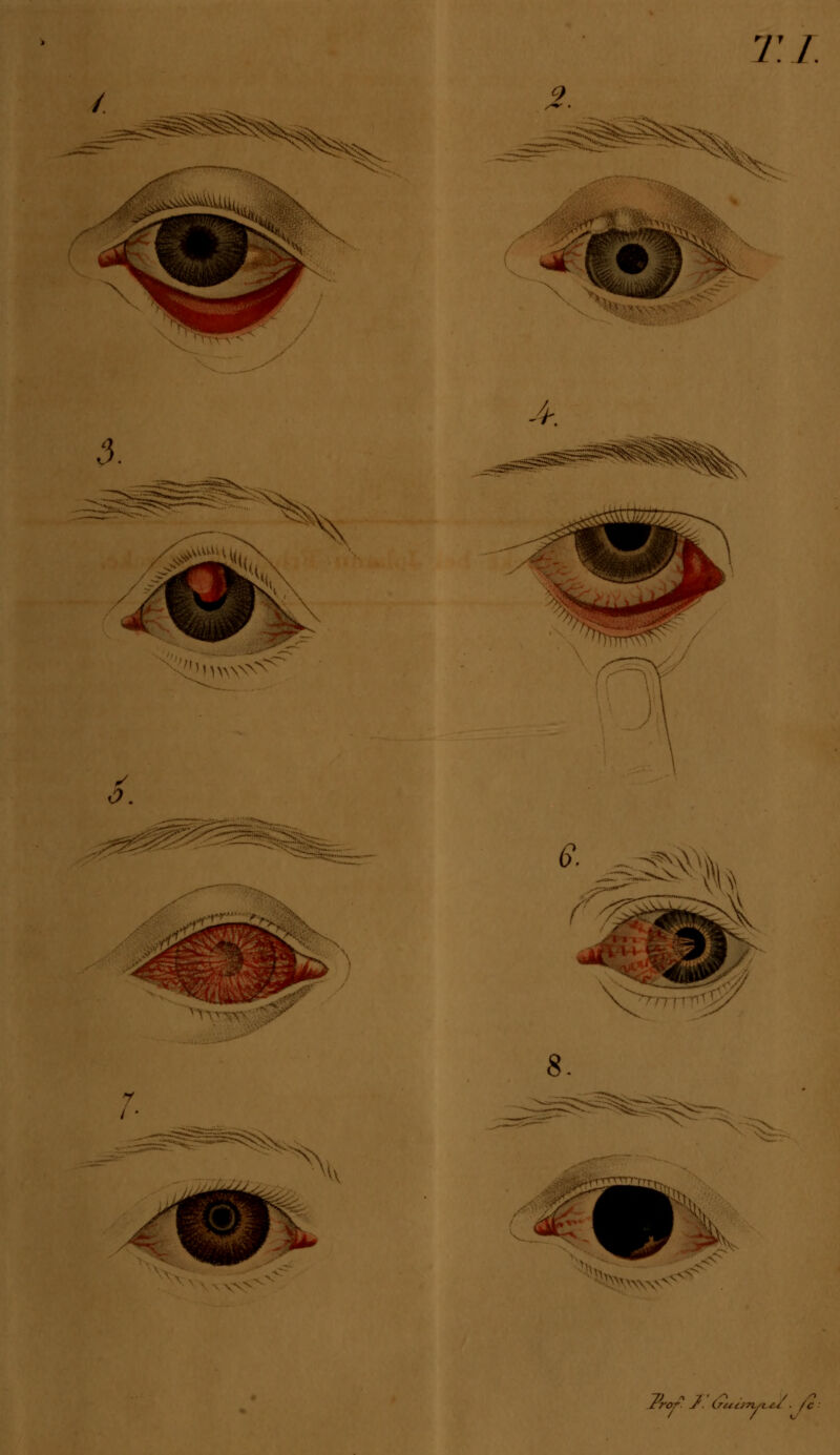 7: /. ? fH& /. „-^ • ;ä£l fror S. (rucm