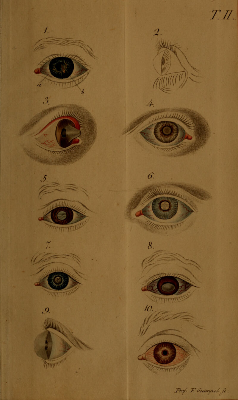 TU. 2. ä 4-. ^TjM^U i ,0. I 8. ; ;-:-::.:..:: ' _ZW /'^/^,