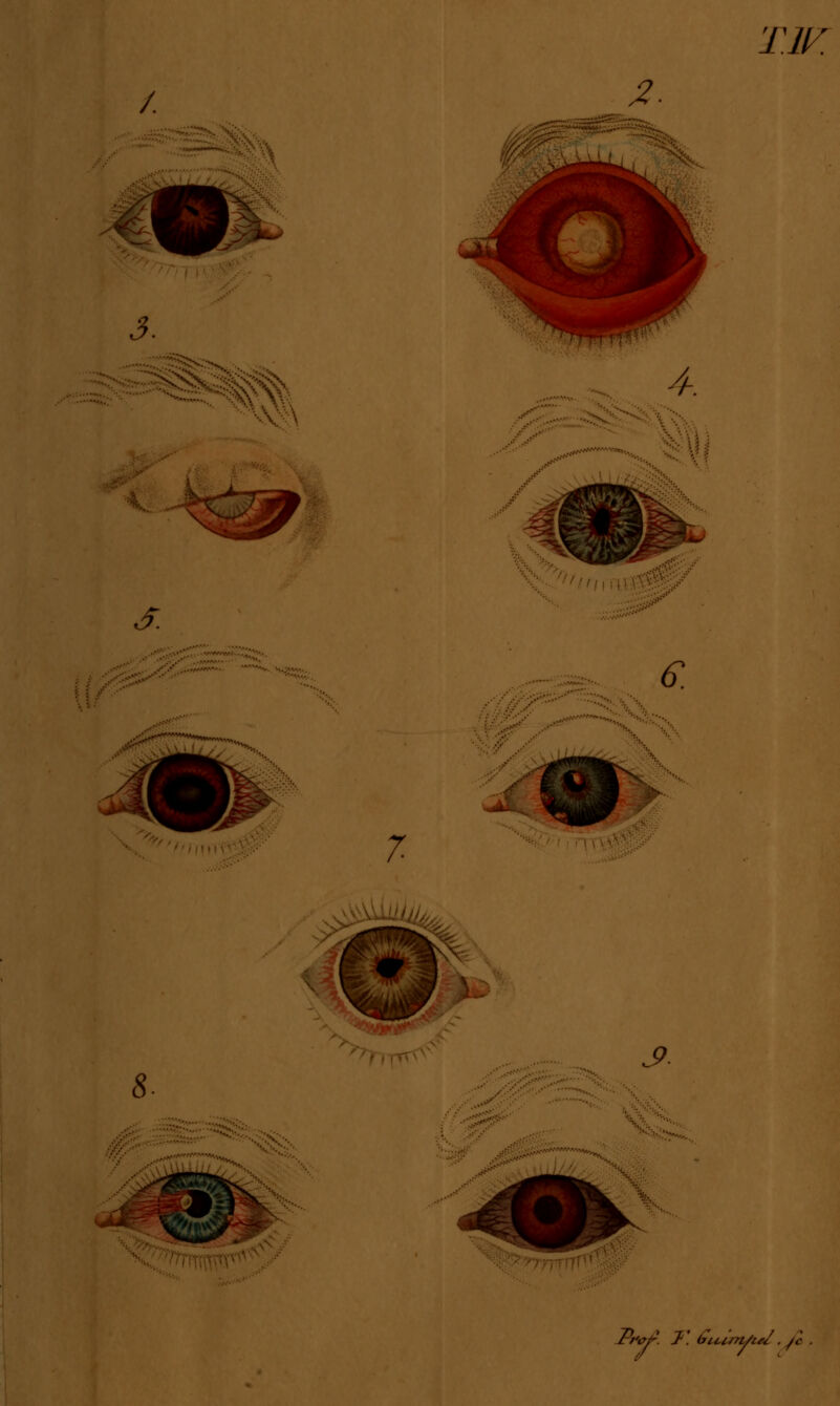 -• 3. S. > 7. 4. G. v © j i: *:*  ^SR« Pr*c/?. J'. biisi/nJid, je