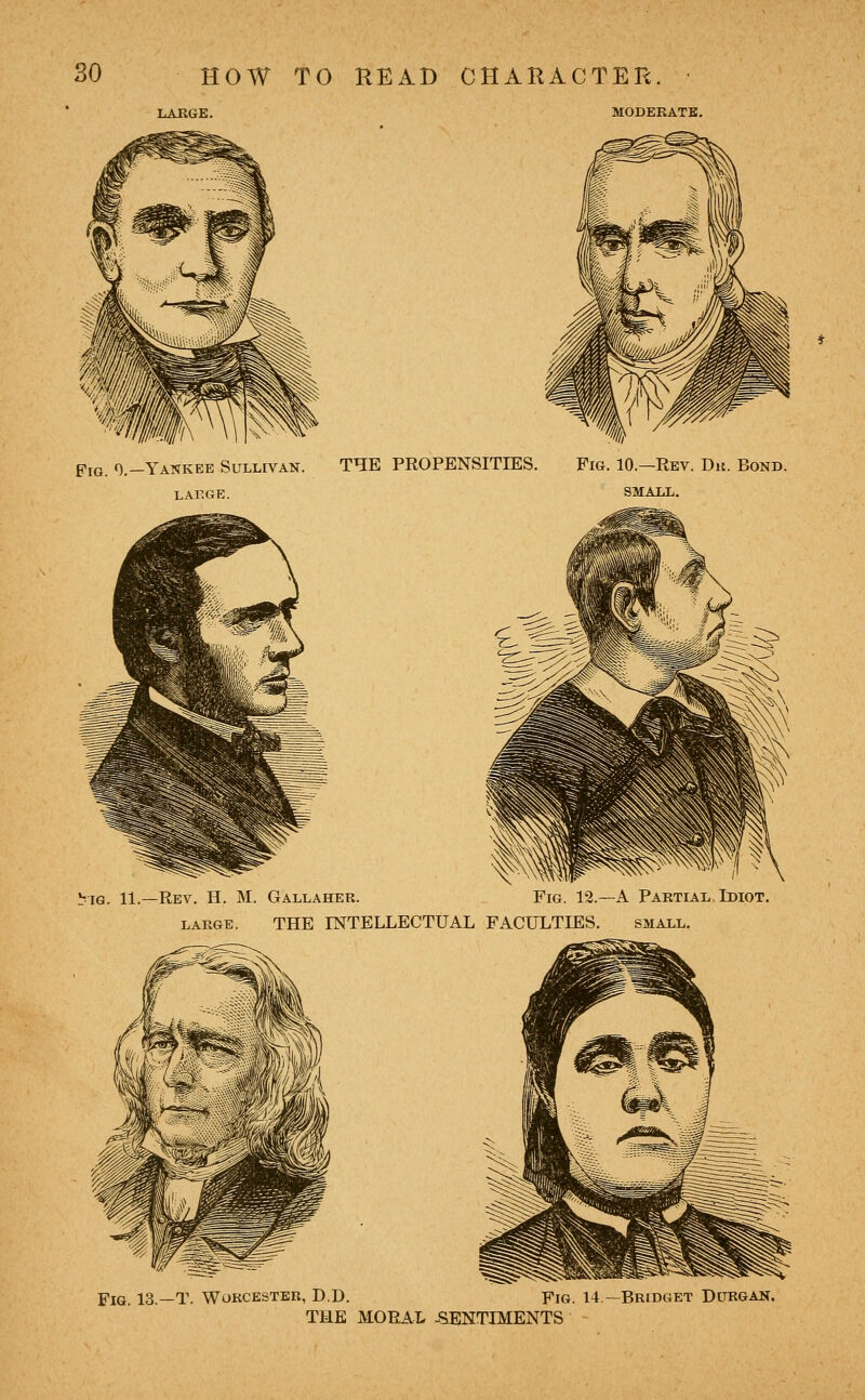 LARGE. MODERATE. PiQ 0.—Yankee Sullivan. LAr.GE. THE PROPENSITIES. Fig. 10.—Rev. Du. Bond. SMALL. vig. 11.—Rev. H. M. Gallaher. Fig. 12.—A Partial Idiot. LARGE. THE INTELLECTUAL FACULTIES. small. Fig. 13.—T. Worcester, D.D. Fig. 14—Bridget Durgan. THE MORAL -SENTIMENTS