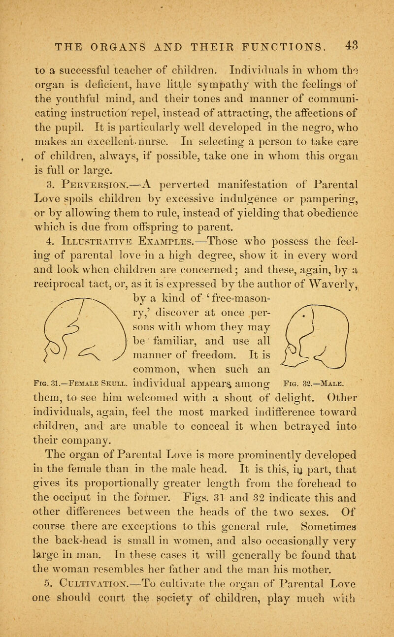 to a successful teacher of children. Iiidivitluals in whom th'^ organ is deficient, have little sympathy with the feelings of the youthful mind, and their tones and manner of communi- cating instruction repel, instead of attracting, the affections of the pupil. It is particularly w^ell developed in the negro, who makes an excellent, nurse. In selecting a person to take care of children, always, if possible, take one in whom this organ is full or large. 3. PERVERSioisr.—A perverted manifestation of Parental Love spoils children by excessive indulgence or pampering, or by allowing them to rule, instead of yielding that obedience which is due from offspring to parent. 4. Illustrative Examples.—Those who possess the feel- ing of parental love in a high degree, show it in every word and look when children are concerned; and these, again, by a reciprocal tact, or, as it is expressed by the author of Waverly, by a kind of ' free-mason- ry,' discover at once per- sons with whom they may be familiar, and use all manner of freedom. It is common, when such an Pig. 31.—Female Skull, individual appear^ among Fig. 32.—Male. them, to see him welcomed with a shout of delight. Other individuals, again, feel the most marked indifference toward children, and are unable to conceal it when betrayed into their company. The organ of Parental Love is more prominently developed in the female than in the male head. It is this, iy part, that gives its proportionally greater length from the forehead to the occiput in the former. Figs. 31 and 32 indicate this and other differences between the heads of the two sexes. Of course there are exceptions to this general rule. Sometimes the back-head is small in women, and also occasionally very large in man. In these cases it will generally be found that the woman resembles her father and the man his mother. 5. CuLTiVATiox.—To cultivate the oigan of Parental Love one should court the society of children, play much with