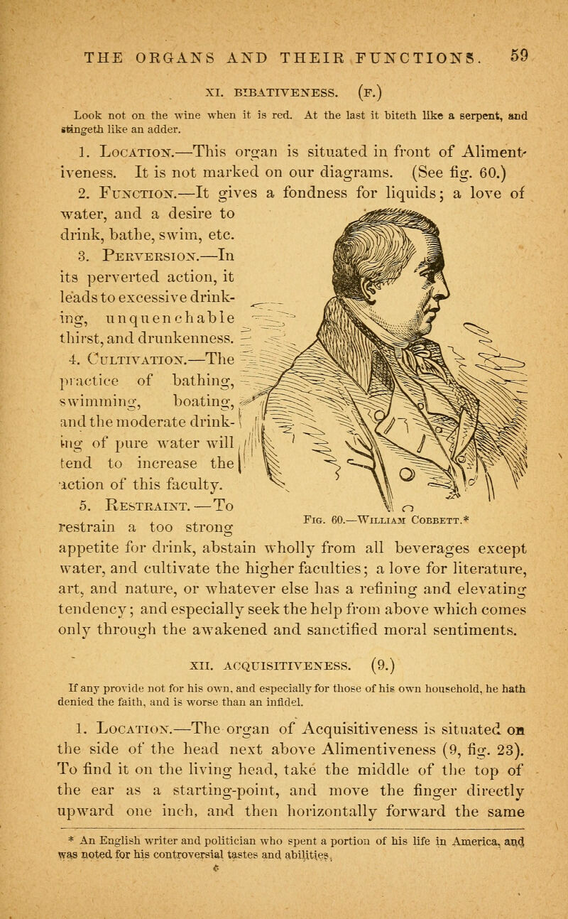 XI. BIBATIVENESS. (F.) Look not on the wine when it is recL At the last it biteth like a serpent, and itingeth like an adder. 1. Location.—This organ is situated in front of Aliment' iveness. It is not marked on our diagrams. (See fig. 60.) 2. Function.—It gives a fondness for liquids; a love of water, and a desire to drink, bathe, swim, etc. 3. Peeversion.—In its perverted action, it leads to excessive drink- ing, unquenctiable ' thirst, and drunkenness, -z:^ 4. Cultivation.—The ^ pi actiee of bathing, ^~ swimming, boating, and the moderate drink- \ ing of jjure water will tend to increase the iction of this faculty. 5. Restraint. — To restrain a too strong appetite for drink, abstain wholly from all beverages except water, and cultivate the higher faculties; a love for literature, art, and nature, or whatever else has a refining and elevating tendency; and especially seek the help from above which comes only through the awakened and sanctified moral sentiments. xii. acquisitiveness. (9.) Kany provide not for his own, and especially for those of his own household, he hath denied the faith, and is worse than an infidel. 1. Location.—The organ of Acquisitiveness is situated on the side of the head next above Alimentiveness (9, fig. 23). To find it on the living head, take the middle of tlie top of the ear as a starting-point, and move the finger directly upward one inch, and then horizontally forward the same * An English writer and politician who spent a portion of his life in America, aii^ w^ noted for Ms controversial tastes and abilitteSj Fig. 60. -WlXLIAM COBBETT.*