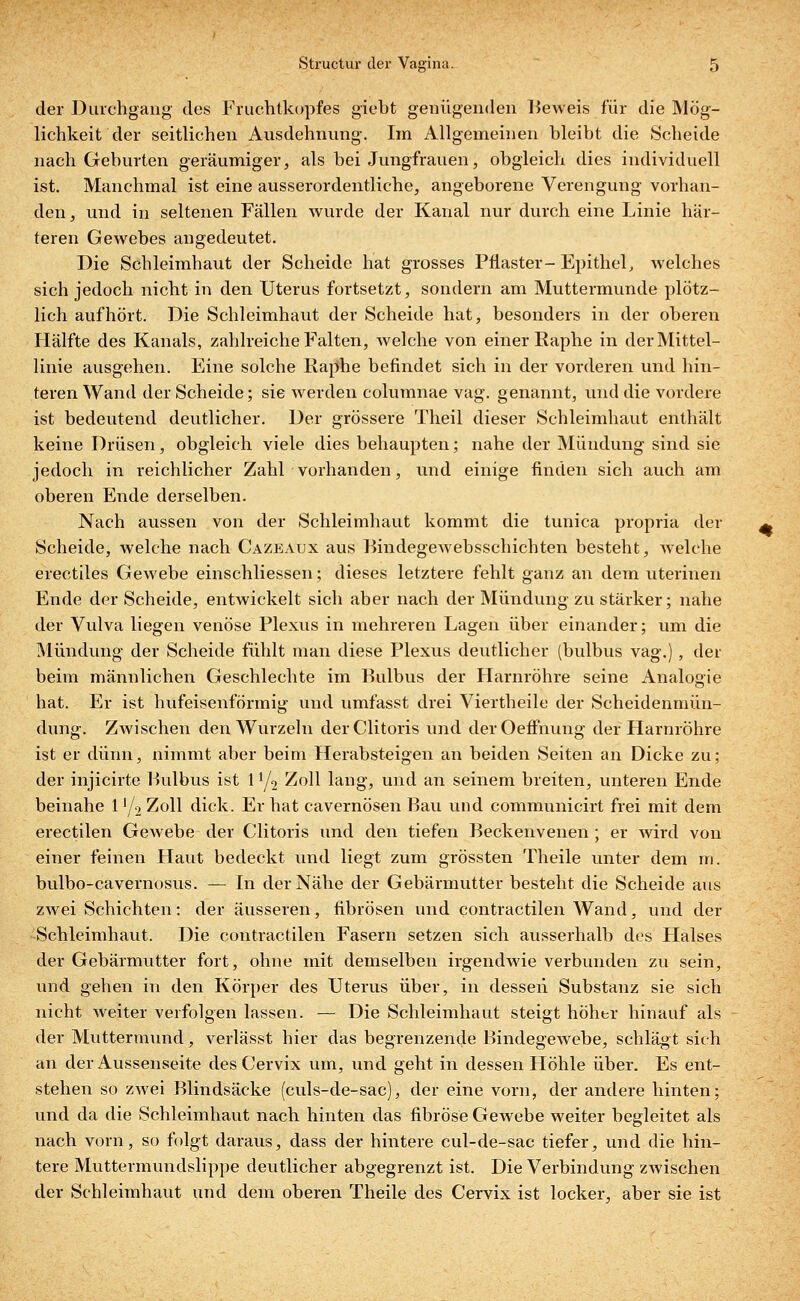 der Durchgang des Fruchtkopfes giebt genügenden Beweis für die Mög- lichkeit der seitlichen Ausdehnung. Im Allgemeinen bleibt die Scheide nach Geburten geräumiger, als bei Jungfrauen, obgleich dies individuell ist. Manchmal ist eine ausserordentliche, angeborene Verengung vorhan- den, und in seltenen Fällen wurde der Kanal nur durch eine Linie här- teren Gewebes angedeutet. Die Schleimhaut der Scheide hat grosses Pflaster-Epithel, welches sich jedoch nicht in den Uterus fortsetzt, sondern am Muttermunde plötz- lich aufhört. Die Schleimhaut der Scheide hat, besonders in der oberen Hälfte des Kanals, zahlreiche Falten, welche von einer Raphe in der Mittel- linie ausgehen. Eine solche Raphe befindet sich in der vorderen und hin- teren Wand der Scheide; sie werden columnae vag. genannt, und die vordere ist bedeutend deutlicher. Der grössere Theil dieser Schleimhaut enthält keine Drüsen, obgleich viele dies behaupten; nahe der Mündung sind sie jedoch in reichlicher Zahl vorhanden, und einige finden sich auch am oberen Ende derselben. Nach aussen von der Schleimhaut kommt die tunica propria der Scheide, welche nach Cazeatjx aus Bindegewebsschichten besteht, welche erectiles Gewebe einschliessen; dieses letztere fehlt ganz an dem uterinen Ende der Scheide, entwickelt sich aber nach der Mündung zu stärker; nahe der Vulva liegen venöse Plexus in mehreren Lagen über einander; um die Mündung der Scheide fühlt man diese Plexus deutlicher (bulbus vag.), der beim männlichen Geschlechte im Bulbus der Harnröhre seine Analogie hat. Er ist hufeisenförmig und umfasst drei Viertheile der Scheidenmün- dung. Zwischen den Wurzeln derClitoris und derOeffnung der Harnröhre ist er dünn, nimmt aber beim Herabsteigen an beiden Seiten an Dicke zu; der injicirte Bulbus ist 1 y2 Zoll lang, und an seinem breiten, unteren Ende beinahe ll/2 Zoll dick. Er hat cavernösen Bau und communicirt frei mit dem erectilen Gewebe der Clitoris und den tiefen Beckenvenen; er wird von einer feinen Haut bedeckt und liegt zum grössten Theile unter dem m. bulbo-cavernosus. — In der Nähe der Gebärmutter besteht die Scheide aus zwei Schichten: der äusseren, fibrösen und contractilen Wand, und der Schleimhaut. Die contractilen Fasern setzen sich ausserhalb des Halses der Gebärmutter fort, ohne mit demselben irgendwie verbunden zu sein, und gehen in den Körper des Uterus über, in dessen Substanz sie sich nicht weiter verfolgen lassen. — Die Schleimhaut steigt höher hinauf als der Muttermund, verlässt hier das begrenzende Bindegewebe, schlägt sich an der Aussenseite des Cervix um, und geht in dessen Höhle über. Es ent- stehen so zwei Blindsäcke (culs-de-sac), der eine vorn, der andere hinten; und da die Schleimhaut nach hinten das fibröse Gewebe weiter begleitet als nach vorn, so folgt daraus, dass der hintere cul-de-sac tiefer, und die hin- tere Muttermundslippe deutlicher abgegrenzt ist. Die Verbindung zwischen der Schleimhaut und dem oberen Theile des Cervix ist locker, aber sie ist