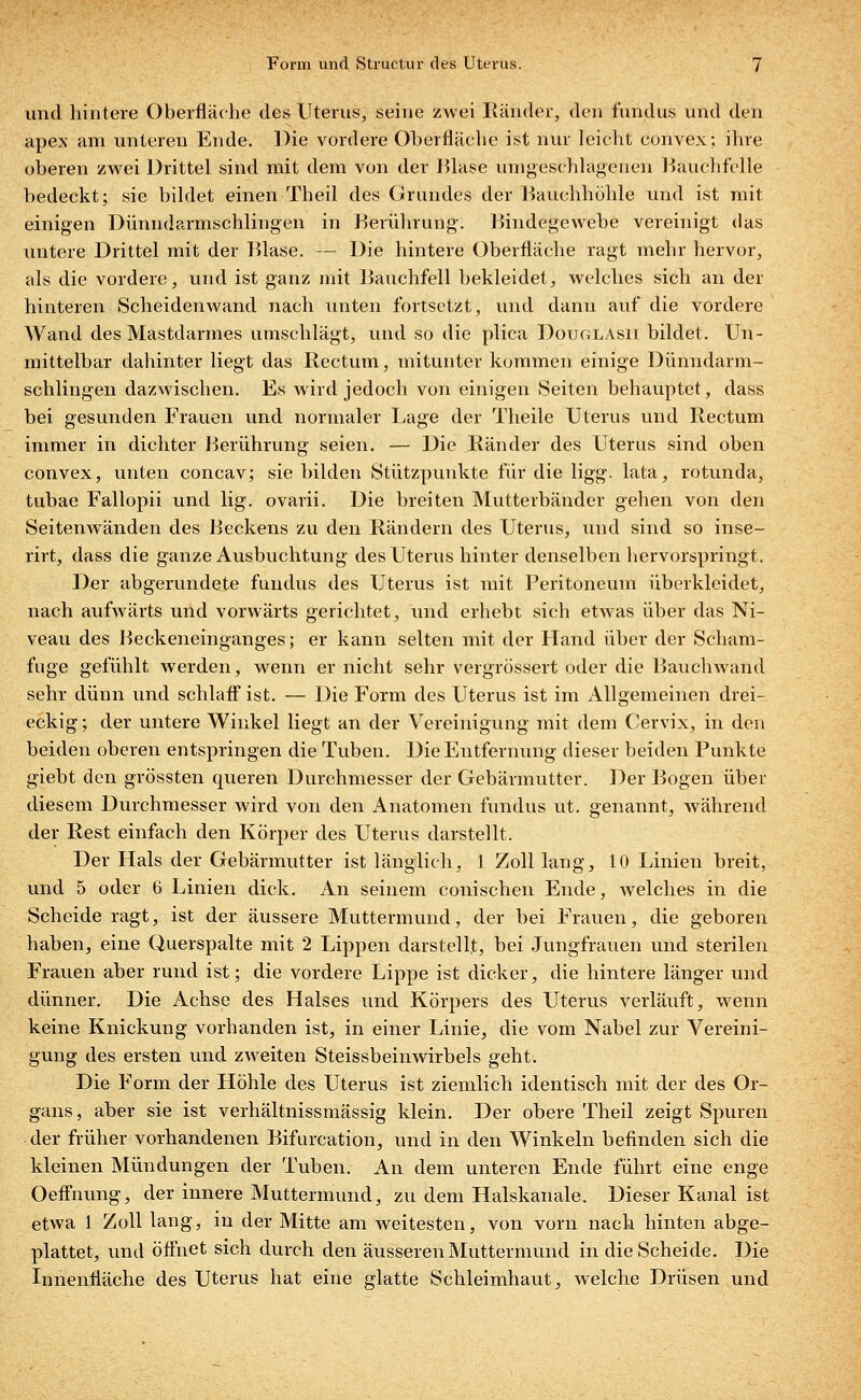 und hintere Oberfläche des Uterus, seine zwei Ränder, den fundus und den apex am unteren Ende. Die vordere Oberfläche ist nur leicht convex; ihre oberen zwei Drittel sind mit dem von der Blase umgeschlagenen Bauchfelle bedeckt; sie bildet einen Theil des Grundes der Bauchhöhle und ist mit einigen Dünndarmschlingen in Berührung. Bindegewebe vereinigt das untere Drittel mit der Blase. — Die hintere Oberfläche ragt mehr hervor, als die vordere, und ist ganz mit Bauchfell bekleidet, welches sich an der hinteren Scheidenwand nach unten fortsetzt, und dann auf die vordere Wand des Mastdarmes umschlägt, und so die plica Douglasii bildet. Un- mittelbar dahinter liegt das Rectum, mitunter kommen einige Dünndarm- schlingen dazwischen. Es wird jedoch von einigen Seiten behauptet, dass bei gesunden Frauen und normaler Lage der Theile Uterus und Rectum immer in dichter Berührung seien. — Die Ränder des Uterus sind oben convex, unten concav; sie bilden Stützpunkte für die ligg. lata, rotunda, tubae Fallopii und lig. ovarii. Die breiten Mutterbänder gehen von den Seitenwänden des Beckens zu den Rändern des Uterus, und sind so inse- rirt, dass die ganze Ausbuchtung des Uterus hinter denselben hervorspringt. Der abgerundete fundus des Uterus ist mit Peritoneum überkleidet, nach aufwärts und vorwärts gerichtet, und erhebt sich etwas über das Ni- veau des Beckeneinganges; er kann selten mit der Hand über der Scham- fuge gefühlt werden, wenn er nicht sehr vergrössert oder die Bauchwand sehr dünn und schlaff ist. — Die Form des Uterus ist im Allgemeinen drei- eckig; der untere Winkel liegt an der Vereinigung mit dem Cervix, in den beiden oberen entspringen die Tuben. Die Entfernung dieser beiden Punkte giebt den grössten queren Durchmesser der Gebärmutter. Der Bogen über diesem Durchmesser wird von den Anatomen fundus ut. genannt, während der Rest einfach den Körper des Uterus darstellt. Der Hals der Gebärmutter ist länglich, 1 Zoll lang, 10 Linien breit, und 5 oder 6 Linien dick. An seinem conischen Ende, welches in die Scheide ragt, ist der äussere Muttermund, der bei Frauen, die geboren haben, eine Querspalte mit 2 Lippen darstellt, bei Jungfrauen und sterilen Frauen aber rund ist; die vordere Lippe ist dicker, die hintere länger und dünner. Die Achse des Halses und Körpers des Uterus verläuft, wenn keine Knickung vorhanden ist, in einer Linie, die vom Nabel zur Vereini- gung des ersten und zweiten Steissbeinwirbels geht. Die Form der Höhle des Uterus ist ziemlich identisch mit der des Or- gans, aber sie ist verhältnissmässig klein. Der obere Theil zeigt Spuren der früher vorhandenen Bifurcation, und in den Winkeln befinden sich die kleinen Mündungen der Tuben. An dem unteren Ende führt eine enge Oeffnung, der innere Muttermund, zu dem Halskanale. Dieser Kanal ist etwa 1 Zoll lang, in der Mitte am weitesten, von vorn nach hinten abge- plattet, und öffnet sich durch den äusseren Muttermund in die Scheide. Die Innenfläche des Uterus hat eine glatte Schleimhaut, welche Drüsen und