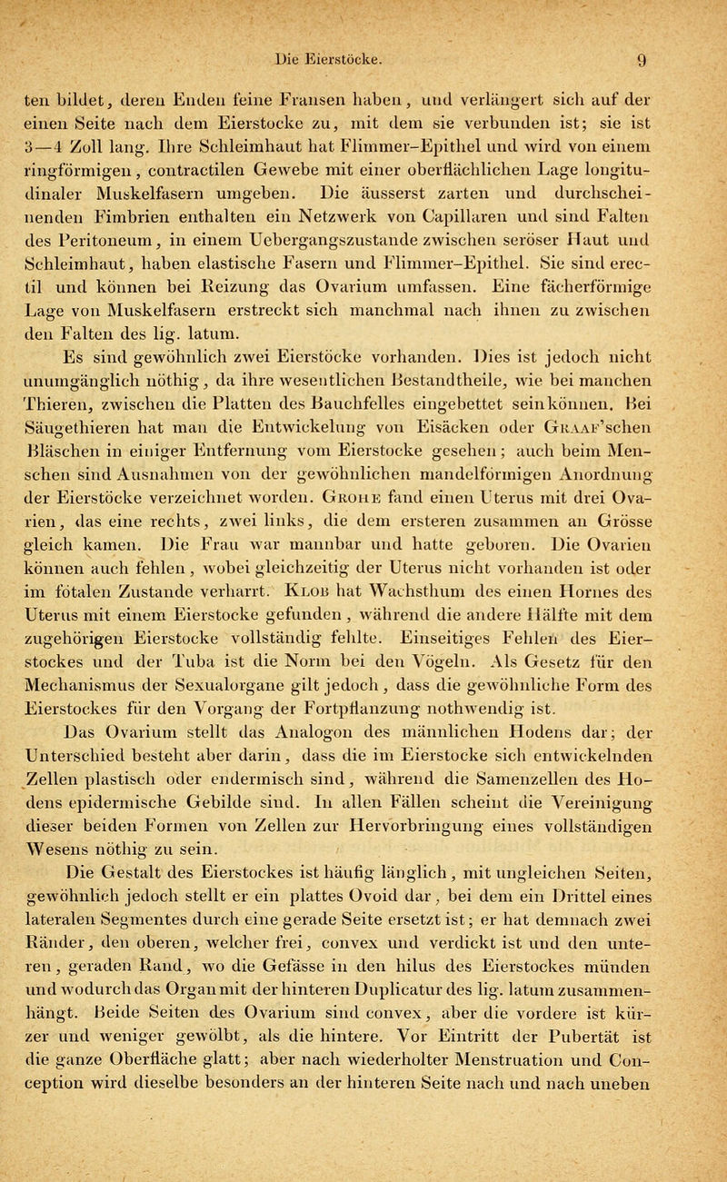 ten bildet, deren Enden feine Fransen haben, und verlängert sich auf der einen Seite nach dem Eierstocke zu, mit dem sie verbunden ist; sie ist 3 — 4 Zoll lang. Ihre Schleimhaut hat Flimmer-Epithel und wird von einem ringförmigen, contractilen Gewebe mit einer oberflächlichen Lage longitu- dinaler Muskelfasern umgeben. Die äusserst zarten und durchschei- nenden Fimbrien enthalten ein Netzwerk von Capillaren und sind Falten des Peritoneum, in einem Uebergangszustande zwischen seröser Haut und Schleimhaut, haben elastische Fasern und Flimmer-Epithel. Sie sind erec- til und können bei Reizung das Ovarium umfassen. Eine fächerförmige Lage von Muskelfasern erstreckt sich manchmal nach ihnen zu zwischen den Falten des lig. latum. Es sind gewöhnlich zwei Eierstöcke vorhanden. Dies ist jedoch nicht unumgänglich nöthig, da ihre wesentlichen Bestandtheile, wie bei manchen Thieren, zwischen die Platten des Bauchfelles eingebettet sein können. Hei Säugethieren hat man die Entwickelung von Eisäcken oder Graaf'sehen Bläschen in einiger Entfernung vom Eierstocke gesehen; auch beim Men- schen sind Ausnahmen von der gewöhnlichen mandelförmigen Anordnung der Eierstöcke verzeichnet worden. Grohe fand einen Uterus mit drei Ova- rien, das eine rechts, zwei links, die dem ersteren zusammen an Grösse gleich kamen. Die Frau war mannbar und hatte geboren. Die Ovarien können auch fehlen, wobei gleichzeitig der Uterus nicht vorhanden ist oder im fötalen Zustande verharrt. Klob hat Wachsthum des einen Hornes des Uterus mit einem Eierstocke gefunden , während die andere Hälfte mit dem zugehörigen Eierstocke vollständig fehlte. Einseitiges Fehlen des Eier- stockes und der Tuba ist die Norm bei den Vögeln. Als Gesetz für den Mechanismus der Sexualorgane gilt jedoch, dass die gewöhnliche Form des Eierstockes für den Vorgang der Fortpflanzung nothwendig ist. Das Ovarium stellt das Analogon des männlichen Hodens dar; der Unterschied besteht aber darin, dass die im Eierstocke sich entwickelnden Zellen plastisch oder endermisch sind, während die Samenzellen des Ho- dens epidermische Gebilde sind. In allen Fällen scheint die Vereinigung dieser beiden Formen von Zellen zur Hervorbringung eines vollständigen Wesens nöthig zu sein. Die Gestalt des Eierstockes ist häufig länglich, mit ungleichen Seiten, gewöhnlich jedoch stellt er ein plattes Ovoid dar ; bei dem ein Drittel eines lateralen Segmentes durch eine gerade Seite ersetzt ist; er hat demnach zwei Ränder, den oberen, welcher frei, convex und verdickt ist und den unte- ren , geraden Rand, wo die Gefässe in den hilus des Eierstockes münden und wodurch das Organ mit der hinteren Duplicatur des lig. latum zusammen- hängt. Beide Seiten des Ovarium sind convex, aber die vordere ist kür- zer und weniger gewölbt, als die hintere. Vor Eintritt der Pubertät ist die ganze Oberfläche glatt; aber nach wiederholter Menstruation und Con- ception wird dieselbe besonders an der hinteren Seite nach und nach uneben