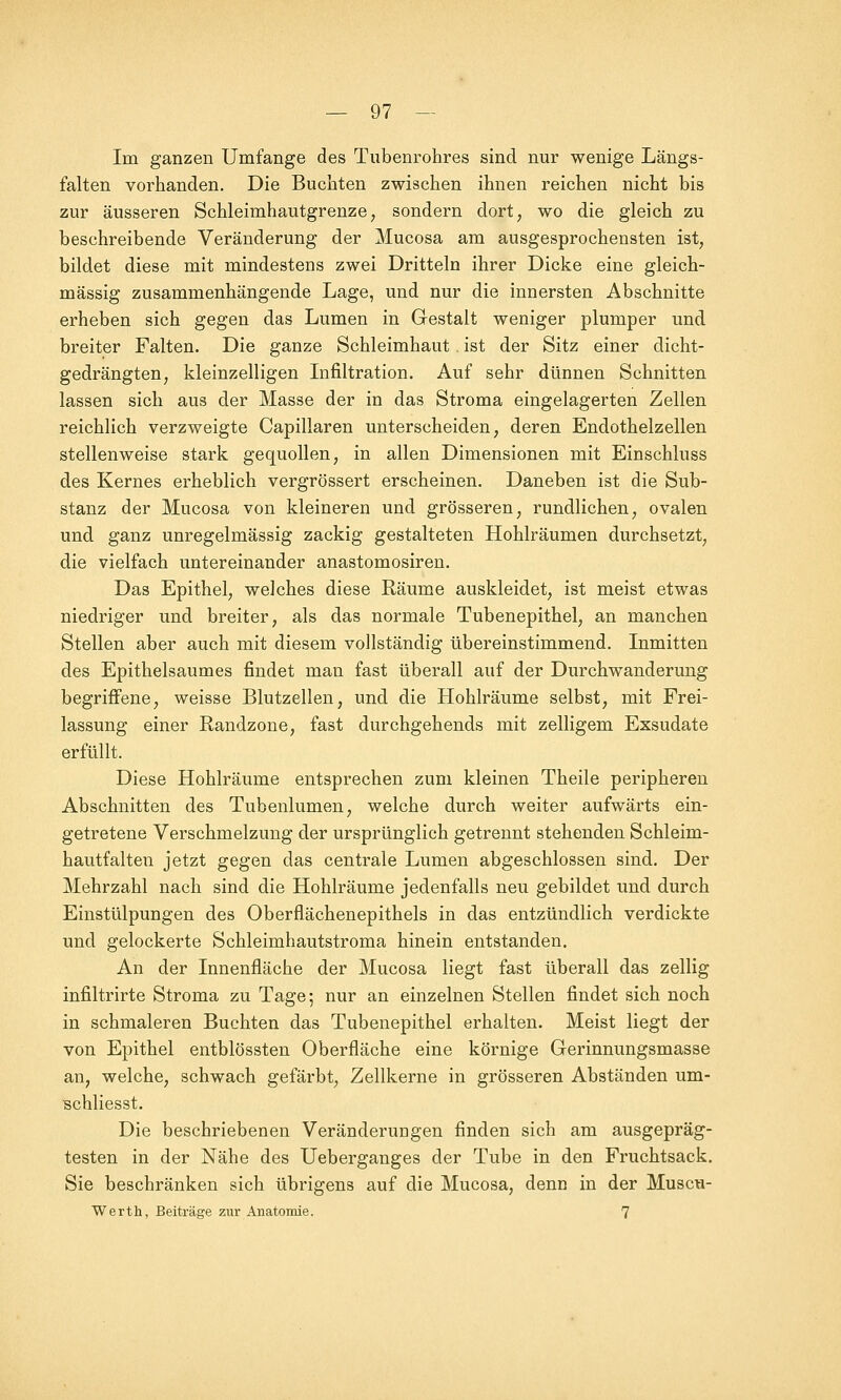 Im ganzen Umfange des Tubenrohres sind nur wenige Längs- falten vorhanden. Die Buchten zwischen ihnen reichen nicht bis zur äusseren Schleimhautgrenze, sondern dort, wo die gleich zu beschreibende Veränderung der Mucosa am ausgesprochensten ist, bildet diese mit mindestens zwei Dritteln ihrer Dicke eine gleich- massig zusammenhängende Lage, und nur die innersten Abschnitte erheben sich gegen das Lumen in Gestalt weniger plumper und breiter Falten. Die ganze Schleimhaut. ist der Sitz einer dicht- gedrängten, kleinzelligen Infiltration. Auf sehr dünnen Schnitten lassen sich aus der Masse der in das Stroma eingelagerten Zellen reichlich verzweigte Capillaren unterscheiden, deren Endothelzellen stellenweise stark gequollen, in allen Dimensionen mit Einschluss des Kernes erheblich vergrössert erscheinen. Daneben ist die Sub- stanz der Mucosa von kleineren und grösseren, rundlichen, ovalen und ganz unregelmässig zackig gestalteten Hohlräumen durchsetzt, die vielfach untereinander anastomosiren. Das Epithel, welches diese Räume auskleidet, ist meist etwas niedriger und breiter, als das normale Tubenepithel, an manchen Stellen aber auch mit diesem vollständig übereinstimmend. Inmitten des Epithelsaumes findet man fast überall auf der Durchwanderung begriffene, weisse Blutzellen, und die Hohlräume selbst, mit Frei- lassung einer Randzone, fast durchgehends mit zelligem Exsudate erfüllt. Diese Hohlräume entsprechen zum kleinen Theile peripheren Abschnitten des Tubenlumen, welche durch weiter aufwärts ein- getretene Verschmelzung der ursprünglich getrennt stehenden Schleim- hautfalten jetzt gegen das centrale Lumen abgeschlossen sind. Der Mehrzahl nach sind die Hohlräume jedenfalls neu gebildet und durch Einstülpungen des Oberflächenepithels in das entzündlich verdickte und gelockerte Schleimhautstroma hinein entstanden. An der Innenfläche der Mucosa liegt fast überall das zellig infiltrirte Stroma zu Tage; nur an einzelnen Stellen findet sich noch in schmaleren Buchten das Tubenepithel erhalten. Meist liegt der von Epithel entblössten Oberfläche eine körnige Gerinnungsmasse an, welche, schwach gefärbt, Zellkerne in grösseren Abständen um- schliesst. Die beschriebenen Veränderungen finden sich am ausgepräg- testen in der Nähe des Ueberganges der Tube in den Fruchtsack. Sie beschränken sich übrigens auf die Mucosa, denn in der Muscu- Werth, Beiträge zur Anatomie. 7