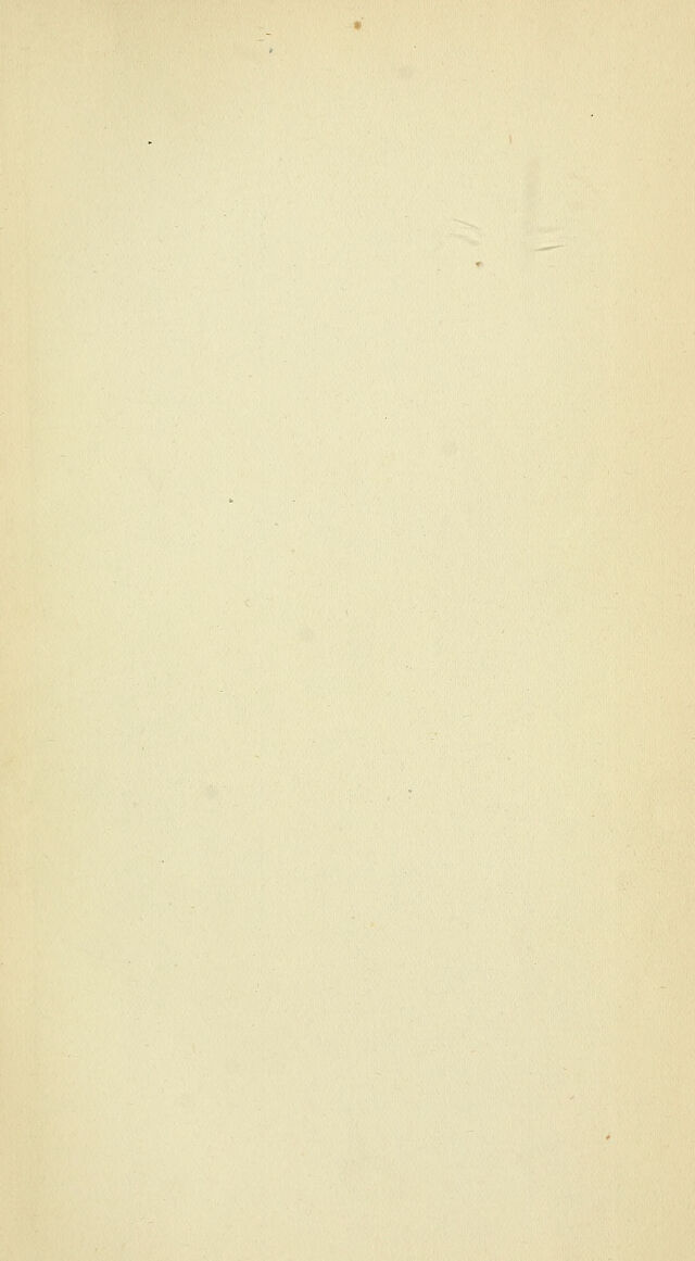 digitised image 3