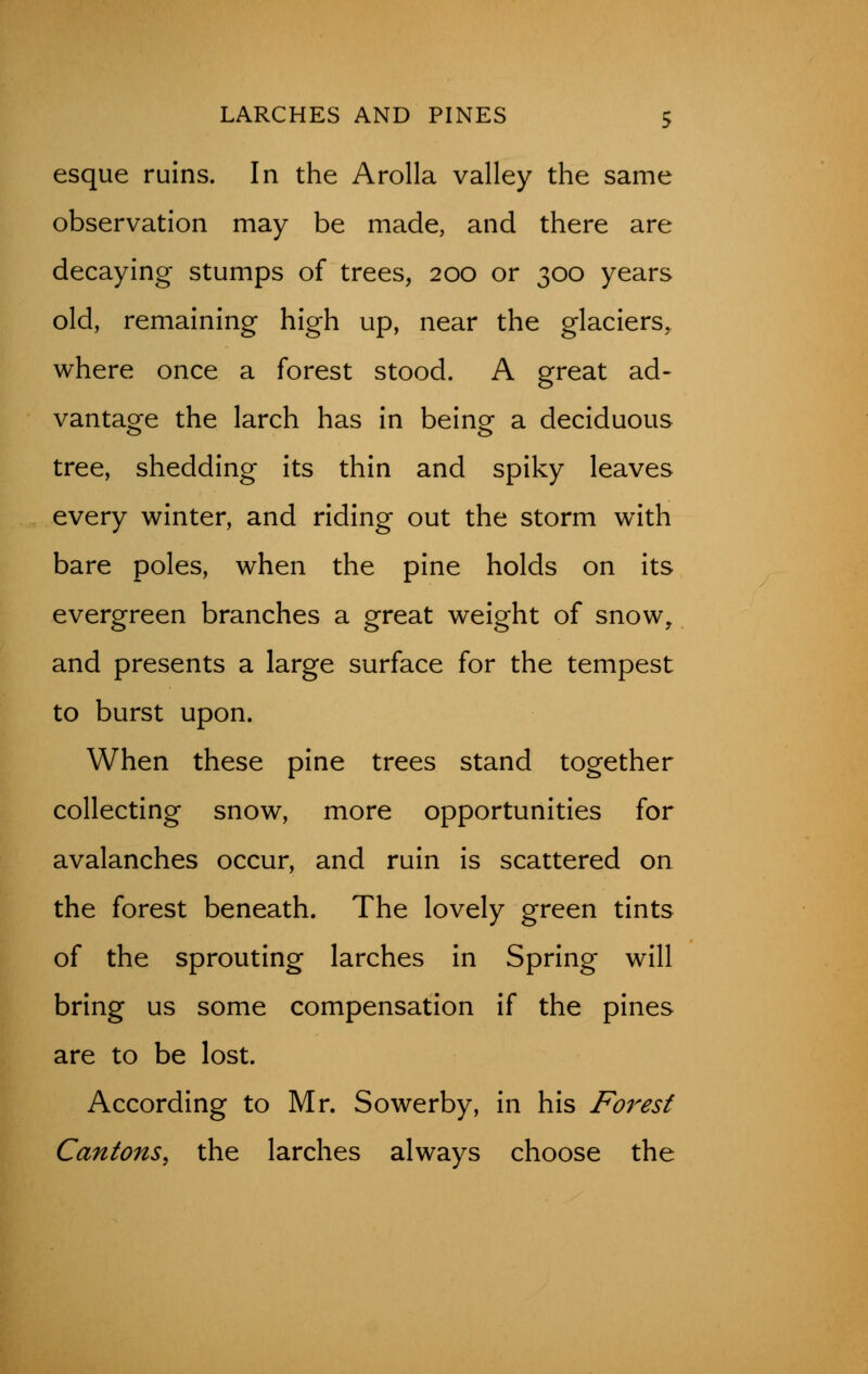 esque ruins. In the Arolla valley the same observation may be made, and there are decaying stumps of trees, 200 or 300 years old, remaining high up, near the glaciers, where once a forest stood. A great ad- vantage the larch has in being a deciduous tree, shedding its thin and spiky leaves every winter, and riding out the storm with bare poles, when the pine holds on its evergreen branches a great weight of snow, and presents a large surface for the tempest to burst upon. When these pine trees stand together collecting snow, more opportunities for avalanches occur, and ruin is scattered on the forest beneath. The lovely green tints of the sprouting larches in Spring will bring us some compensation if the pines are to be lost. According to Mr. Sowerby, in his Forest Cantons, the larches always choose the