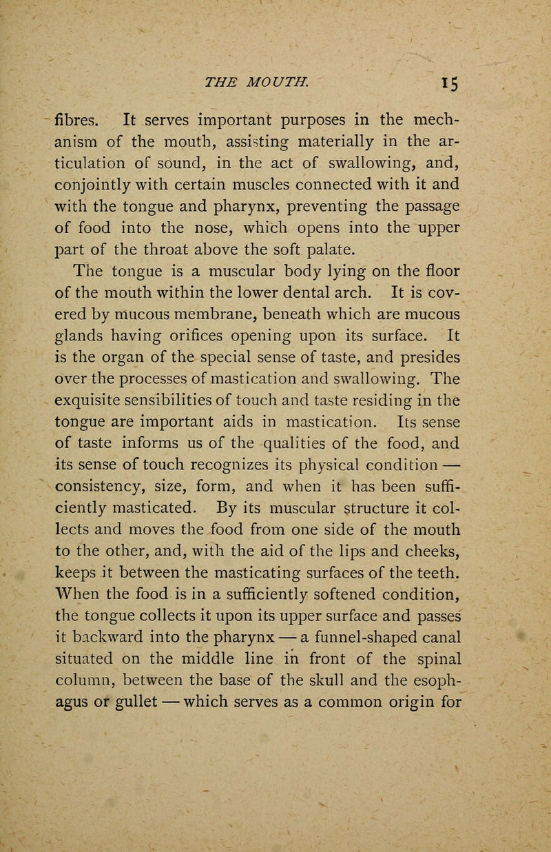 fibres. It serves important purposes in the mech- anism of the mouth, assisting materially in the ar- ticulation of sound, in the act of swallowing, and, conjointly with certain muscles connected with it and with the tongue and pharynx, preventing the passage of food into the nose, which opens into the upper part of the throat above the soft palate. The tongue is a muscular body lying on the floor of the mouth within the lower dental arch. It is cov- ered by mucous membrane, beneath which are mucous glands having orifices opening upon its surface. It is the organ of the special sense of taste, and presides over the processes of mastication and swallowing. The exquisite sensibilities of touch and taste residing in the tongue are important aids in mastication. Its sense of taste informs us of the qualities of the food, and its sense of touch recognizes its physical condition — consistency, size, form, and when it has been suffi- ciently masticated. By its muscular structure it col- lects and moves the food from one side of the mouth to the other, and, with the aid of the lips and cheeks, keeps it between the masticating surfaces of the teeth. When the food is in a sufficiently softened condition, the tongue collects it upon its upper surface and passes it backward into the pharynx — a funnel-shaped canal situated on the middle line in front of the spinal column, between the base of the skull and the esoph- agus or gullet — which serves as a common origin for