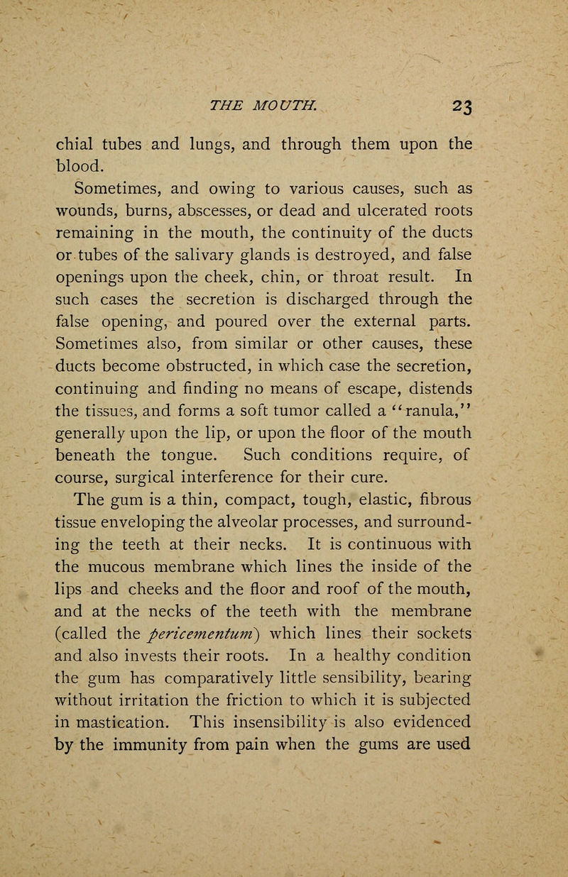 chial tubes and lungs, and through them upon the blood. Sometimes, and owing to various causes, such as wounds, burns, abscesses, or dead and ulcerated roots remaining in the mouth, the continuity of the ducts or.tubes of the salivary glands is destroyed, and false openings upon the cheek, chin, or throat result. In such cases the secretion is discharged through the false opening, and poured over the external parts. Sometimes also, from similar or other causes, these ducts become obstructed, in which case the secretion, continuing and finding no means of escape, distends the tissues, and forms a soft tumor called a ranula, generally upon the lip, or upon the floor of the mouth beneath the tongue. Such conditions require, of course, surgical interference for their cure. The gum is a thin, compact, tough, elastic, fibrous tissue enveloping the alveolar processes, and surround- ing the teeth at their necks. It is continuous with the mucous membrane which lines the inside of the lips and cheeks and the floor and roof of the mouth, and at the necks of the teeth with the membrane (called the pericementurn) which lines their sockets and also invests their roots. In a healthy condition the gum has comparatively little sensibility, bearing without irritation the friction to which it is subjected in mastication. This insensibility is also evidenced by the immunity from pain when the gums are used