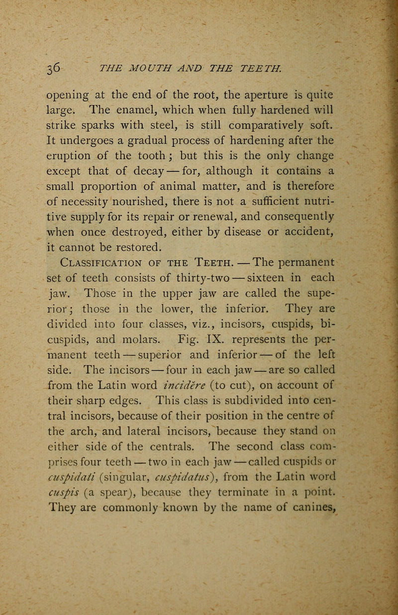 opening at the end of the root, the aperture is quite large. The enamel, which when fully hardened will strike sparks with steel, is still comparatively soft. It undergoes a gradual process of hardening after the eruption of the tooth; but this is the only change except that of decay — for, although it contains a small proportion of animal matter, and is therefore of necessity nourished, there is not a sufficient nutri- tive supply for its repair or renewal, and consequently when once destroyed, either by disease or accident, it cannot be restored. Classification of the Teeth.—The permanent set of teeth consists of thirty-two — sixteen in each jaw. Those in the upper jaw are called the supe- rior; those in the lower, the inferior. They are divided into four classes, viz., incisors, cuspids, bi- cuspids, and molars. Fig. IX. represents the per- manent teeth — superior and inferior — of the left side. The incisors — four in each jaw — are so called from the Latin word incidere (to cut), on account of their sharp edges. This class is subdivided into cen- tral incisors, because of their position in the centre of the arch, and lateral incisors, because they stand on cither side of the centrals. The second class com- prises four teeth — two in each jaw — called cuspids or cuspidati (singular, €Uipidatus), from the Latin word cuspis (a spear), because they terminate in a point. They are commonly known by the name of canines,