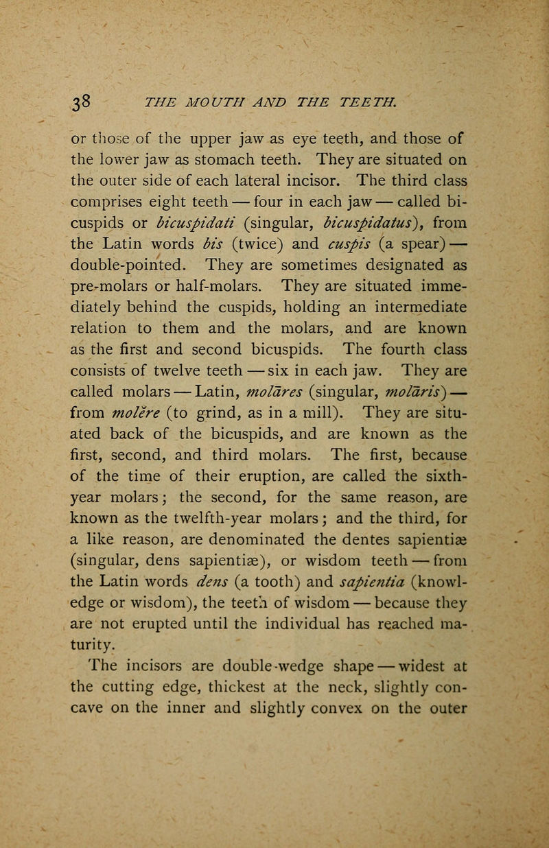 or those of the upper jaw as eye teeth, and those of the lower jaw as stomach teeth. They are situated on the outer side of each lateral incisor. The third class comprises eight teeth — four in each jaw — called bi- cuspids or bicuspidati (singular, bicuspidatus), from the Latin words bis (twice) and cuspis (a spear) — double-pointed. They are sometimes designated as pre-molars or half-molars. They are situated imme- diately behind the cuspids, holding an intermediate relation to them and the molars, and are known as the first and second bicuspids. The fourth class consists of twelve teeth — six in each jaw. They are called molars — Latin, molares (singular, mo/aris) — from molere (to grind, as in a mill). They are situ- ated back of the bicuspids, and are known as the first, second, and third molars. The first, because of the time of their eruption, are called the sixth- year molars; the second, for the same reason, are known as the twelfth-year molars; and the third, for a like reason, are denominated the dentes sapientise (singular, dens sapientiae), or wisdom teeth — from the Latin words dens (a tooth) and sapientia (knowl- edge or wisdom), the teeth of wisdom — because they are not erupted until the individual has reached ma- turity. The incisors are double wedge shape — widest at the cutting edge, thickest at the neck, slightly con- cave on the inner and slightly convex on the outer