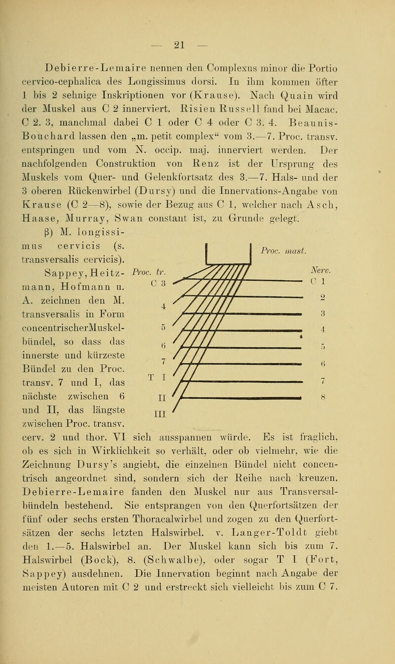 Proc. mast. Debierre-Lemaire nennen den Complexus minor die Portio cervico-ceplialica des Lougissimns dorsi. In ihm kommen öfter 1 bis 2 sehnige Inskriptionen vor (Krause). Nach Quain wird der Muskel aus C 2 innerviert, ßisien Russell fand bei Macac. C 2. 3, manchmal dabei C 1 oder C 4 oder C 8. 4. Beaunis- Bouchard lassen den „m. petit complex vom 3.—7. Proc. transv. entspringen und vom N. occip. maj. innerviert werden. Der nachfolgenden Construktion von Benz ist der Ursprung des Muskels vom Quer- und Gelenkfortsatz des 3.—7. Hals- und der 3 oberen Bückenwirbel (Dursy) und die Innervations-Angabe von Krause (C 2—8), sowie der Bezug aus C 1, welcher nach Asch, Haase, Murray, Swan constant ist, zu Grunde gelegt. ß) M. longissi- mus cervicis (s. transversalis cervicis). Sappey,Heitz- Proc.tr- mann, Hofmann u. A. zeichnen den M. transversalis in Form concentrischerMuskel- bündel, so dass das innerste und kürzeste Bündel zu den Proc. transv. 7 und I, das nächste zwischen 6 und II, das längste zwischen Proc. transv. cerv. 2 und thor. VI sich ausspannen würde. Es ist fraglich, ob es sich in Wirklichkeit so verhält, oder ob vielmehr, wie die Zeichnung Dursy's angiebt, die einzelnen Bündel nicht concen- trisch angeordnet sind, sondern sich der Reihe nach kreuzen. Debierre-Lemaire fanden den Muskel nur aus Transversal- bündeln bestehend. Sie entsprangen von den Querfortsätzeu der fünf oder sechs ersten Thoracalwirbel und zogen zu den Querfort- sätzen der sechs letzten HalswirbeL v. Langer-Toi dt giebt den 1. —5. Halswirbel an. Der Muskel kann sich bis zum 7. Halswirbel (Bock), 8. (Schwalbe), oder sogar T I (Fort, Sappey) ausdehnen. Die Innervation beginnt nach Angabe der meisten Autoren mit C 2 und erstreckt sich vielleicht bis zum C 7.