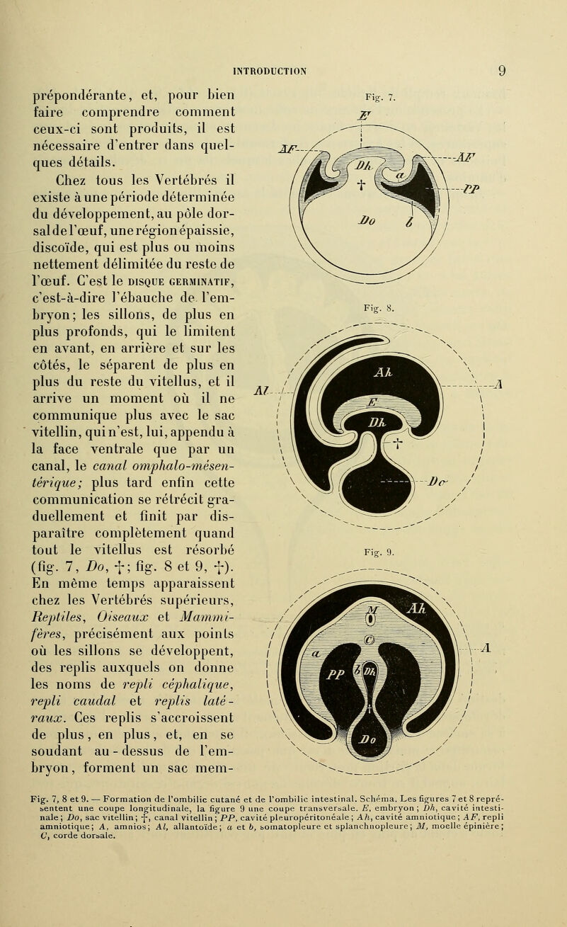 prépondérante, et, pour bien faire comprendre comment ceux-ci sont produits, il est nécessaire d'entrer dans quel- ques détails. Chez tous les Vertébrés il existe à une période déterminée du développement, au pôle dor- saldeFœuf, unerégionépaissie, discoïde, qui est plus ou moins nettement délimitée du reste de l'œuf. C'est le disque germinatif, c'est-à-dire l'ébauche de l'em- bryon; les sillons, de plus en plus profonds, qui le limitent en avant, en arrière et sur les côtés, le séparent de plus en plus du reste du vitellus, et il arrive un moment où il ne communique plus avec le sac vitellin, qui n'est, lui, appendu à la face ventrale que par un canal, le canal omphalo-7?iésen- térique; plus tard enfin cette communication se rétrécit gra- duellement et finit par dis- paraître complètement quand tout le vitellus est résorbé (fig. 7, Do, t;%. 8 et 9, f). En même temps apparaissent chez les Vertébrés supérieurs, RejJtiles, Oiseaux et Mammi- fères, précisément aux points 011 les sillons se développent, des replis auxquels on donne les noms de repli céphalique, repli caudal et replis laté- raux. Ces replis s'accroissent de plus, en plus, et, en se soudant au - dessus de l'em- bryon , forment un sac mem- AJ^- Fis:. 8. Fis;. 9. Fig. 1, 8 et 9. — Formation de l'ombilic cutané et de l'ombilic intestinal. Schéma. Les fig^ures 7 et 8 repré- bcntent une coupe longitudinale, la figure 9 une coupe transversale. E, embryon ; Dh, cavité intesti- nale ; Do, sac vitellin; -j-, canal vitellin ; PP, cavité pleuropéritonéale ; Ah, cavité amniotique; AF, repli amniotique; A, amnios; Al, allantoïde; a et 6, somatopleure et splanchnopleure; iW, moelle épinière ; C, corde dorsale.