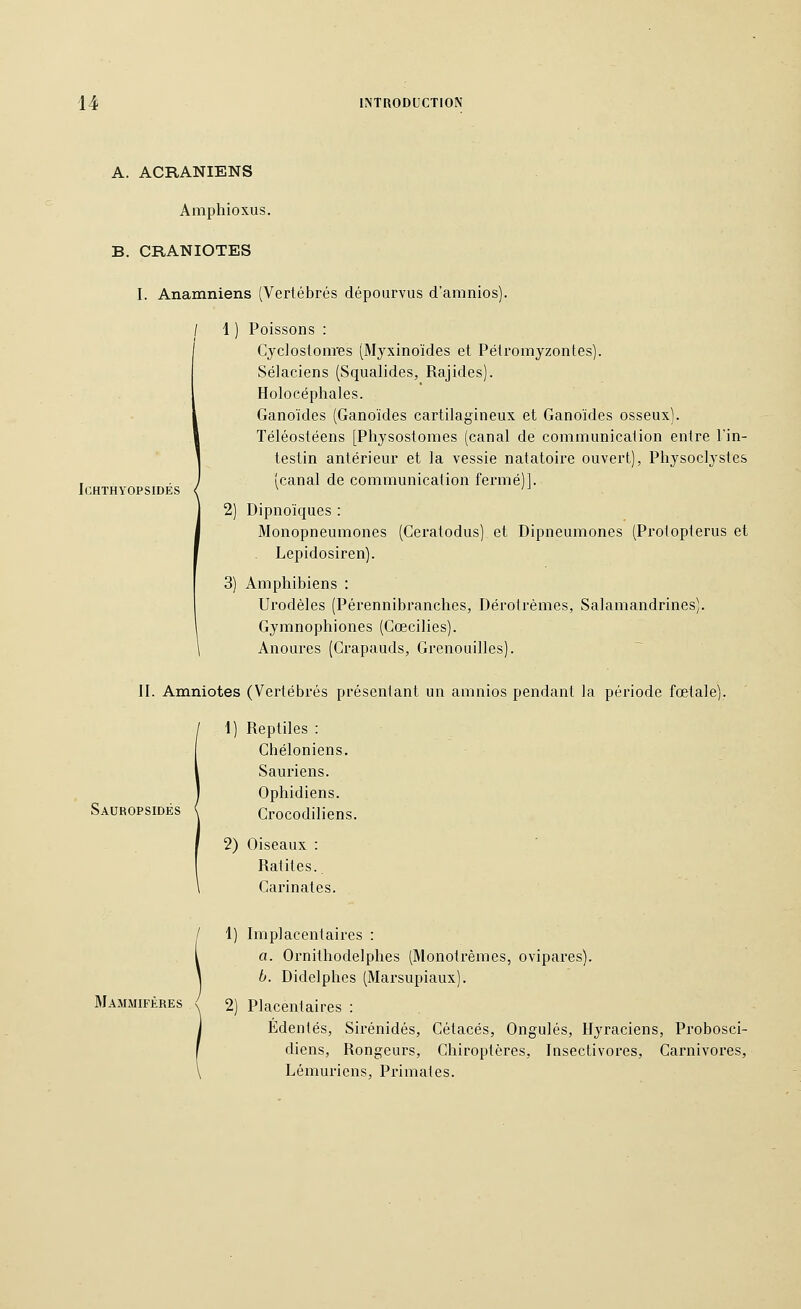 A. ACRANIENS Amphioxus. B. CRANIOTES I. Anamniens (Vertébrés dépourvus d'amnios). / 1 ) Poissons : Cyclostonres [Myxinoïdes et Pétromyzontes). Sélaciens (Squalides, Rajides). Holocéphales. Ganoïdes (Ganoïdes cartilagineux et Ganoïdes osseux). Téléostéens [Physostomes (canal de communication entre l'in- testin antérieur et la vessie natatoire ouvert), Physoclystes (canal de communication fermé)]. 2) Dipnoïques : Monopneumones (Ceratodus) et Dipneumones (Protopterus et Lepidosiren). 3) Amphibiens : Ui'odèles (Pérennibranches, Dérotrèmes, Salamandrines). Gymnophiones (Coecilies). Anoures (Crapauds, Grenouilles). ICHTHYOPSIDÉS II. Amniotes (Vertébrés présentant un amnios pendant la période fœtale). 1) Reptiles : Cbéloniens. Sauriens. Ophidiens. Sauropsidés ( Crocodiliens. 2) Oiseaux : Ratites. Carinates. Mammifères 1) Implacentaires : a. Ornithodelphes (Monotrèmes, ovipares). b. Didelphes (Marsupiaux). 2) Placentaires : Edentés, Sirénidés, Cétacés, Ongulés, Hyraciens, Probosci- diens. Rongeurs, Chiroptères, Insectivores, Carnivores, Lémuriens, Primates.