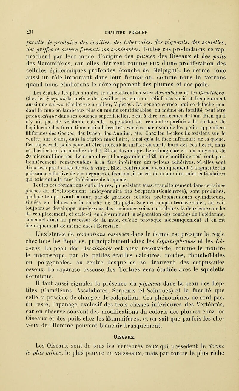 faculté de produire des écailles, des tubercules, des piquants, des scutelles, des griffes et autres formations semblables. Toutes ces productions se rap- prochent par leur mode d'origine des plumes des Oiseaux et des poils des Mammifères, car elles dérivent comme eux d'une prolifération des cellules épidermiques profondes (couche de Malpighi). Le derme joue aussi un rôle important dans leur formation, comme nous le verrons quand nous étudierons le développement des plumes et des poils. Les écailles les plus simples se rencontrent chez les Ascalabotes et les Caméléons. Chez les Serpentsla. surface des écailles présente un relief très varié et fréquemment aussi une carène (Couleuvre à collier, Vipères). La couche cornée, qui se détache pen dant la mue en lambeaux plus ou moins considérables, ou même en totalité, peut être pneumatique dsins ses couches superficielles, c'est-à-dire renfermer de l'air. Bien qu'il n'y ait pas de véritable cuticule, cependant on rencontre parfois à la surface de l'épiderme des formations cuticulaires ti'ès variées, par exemple les petits appendices filiformes des Geckos, des Draco, des Anolius, etc. Chez les Geckos ils existent sur le ventre, sur le dos, dans la région maxillaire, ainsi qu'à la face inférieure de la queue. Ces espèces de poils peuvent être situées à la surface ou sur le bord des écailles et, dans ce dernier cas, au nombre de 1 à 20 ou davantage. Leur longueur est en moyenne de 20 micromillimètres. Leur nombre et leur grandeur (120 micromillimètres) sont par- ticulièrement remarquables à la face inférieure des pelotes adhésives, où elles sont disposées par touffes de dix à vingt. Elles contribuent mécaniquement à augmenter la puissance adhésive de ces organes de fixation ; il en est de même des soies cuticulaires qui existent à la face inférieure de la queue. Toutes ces formations cuticulaires, qui existent aussi transitoirementdans certaines phases du développement embryonnaire des Serpents (Couleuvres), sont produites, quelque temps avant la mue, par de grandes cellules protoplasmiques cylindriques, situées en dehors de la couche de Malpighi. Sur des coupes transversales, on voit toujours se développer au-dessous des anciennes soies cuticulaires la deuxième couche de remplacement, et celle-ci, en déterminant la séparation des couches de l'épiderme, concourt ainsi au processus de la mue, qu'elle provoque mécaniquement. Il en est identiquement de même chez l'Écrevisse. L'existence de formations osseuses dans le derme est presque la règle chez tous les Reptiles, principalement chez les Gymnophiones et les Lé- zards. La peau des Ascalabotes est aussi recouverte, comme le montre le microscope, par de petites écailles calcaires, rondes, rhomboïdales ou polygonales, au centre desquelles se trouvent des corpuscules osseux. La caparace osseuse des Tortues sera étudiée avec le squelette dermique. II faut aussi signaler la présence àw. pigment dans la peau des Rep- tiles (Caméléons, Ascalabotes, Serpents et Scinques) et la faculté que celle-ci possède de changer de coloration. Ces phénomènes ne sont pas, du reste, l'apanage exclusif des trois classes inférieures des Vertébrés, car on observe souvent des modifications du coloris des plumes chez les Oiseaux et des poils chez les Mammifères, et on sait que parfois les che- veux de l'Homme peuvent blanchir brusquement. Oiseaux. Les Oiseaux sont de tous les Vertébrés ceux qui possèdent le derme le plus milice, le plus pauvre en vaisseaux, mais par contre le plus riche