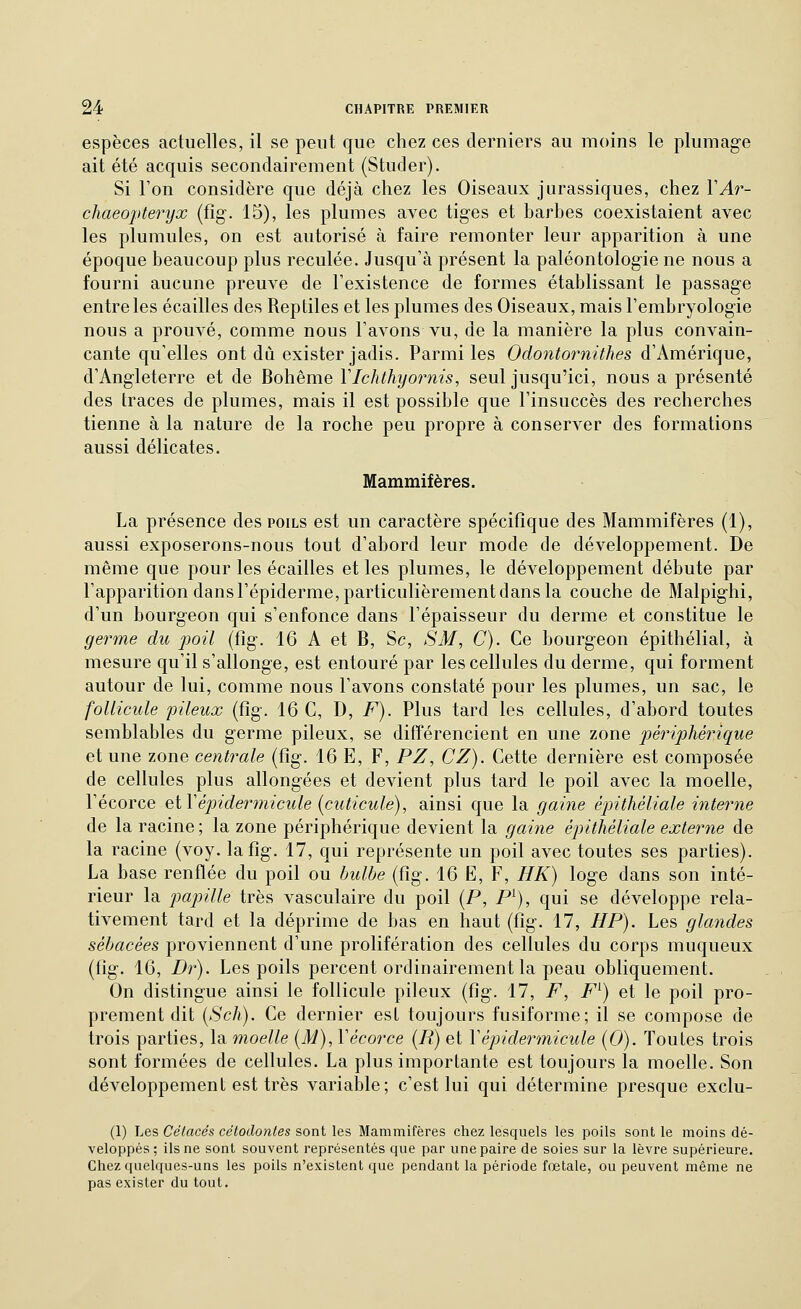 espèces actuelles, il se peut que chez ces derniers au moins le plumage ait été acquis secondairement (Studer). Si l'on considère que déjà chez les Oiseaux jurassiques, chez VAr- chaeopteryx (fig. 15), les plumes avec tiges et barbes coexistaient avec les plumules, on est autorisé à faire remonter leur apparition à une époque beaucoup plus reculée. Jusqu'à présent la paléontologie ne nous a fourni aucune preuve de l'existence de formes établissant le passage entre les écailles des Reptiles et les plumes des Oiseaux, mais l'embryologie nous a prouvé, comme nous l'avons vu, de la manière la plus convain- cante qu'elles ont dû exister jadis. Parmi les Odontornithes d'Amérique, d'Angleterre et de Bohême VIchthyornis, seul jusqu'ici, nous a présenté des traces de plumes, mais il est possible que l'insuccès des recherches tienne à la nature de la roche peu propre à conserver des formations aussi délicates. Mammifères. La présence des poils est un caractère spécifique des Mammifères (1), aussi exposerons-nous tout d'abord leur mode de développement. De même que pour les écailles et les plumes, le développement débute par l'apparition dans l'épiderme, particulièrement dans la couche de Malpighi, d'un bourgeon qui s'enfonce dans l'épaisseur du derme et constitue le germe du poil (fîg. 16 A et B, Se, SM, C). Ce bourgeon épithélial, à mesure qu'il s'allonge, est entouré par les cellules du derme, qui forment autour de lui, comme nous l'avons constaté pour les plumes, un sac, le follicule pileux (fîg. 16 C, D, F). Plus tard les cellules, d'abord toutes semblables du germe pileux, se différencient en une zone périphérique et une zone centrale (fig. 16 E, F, PZ, CZ). Cette dernière est composée de cellules plus allongées et devient plus tard le poil avec la moelle, l'écorce et VépidertJiicule (cuticule), ainsi que la gaine épithéliale interne de la racine ; la zone périphérique devient la gaine épithéliale externe de la racine (voy. la fîg. 17, qui représente un poil avec toutes ses parties). La base renflée du poil ou hulbe (fig. 16 E, F, HK) loge dans son inté- rieur la papille très vasculaire du poil (P, P^), qui se développe rela- tivement tard et la déprime de bas en haut (fîg. 17, HP). Les glandes sébacées proviennent d'une prolifération des cellules du corps muqueux (fig. 16, Dr). Les poils percent ordinairement la peau obliquement. On distingue ainsi le follicule pileux (fig. 17, F, F^) et le poil pro- prement dit [Sch). Ce dernier est toujours fusiforme; il se compose de trois parties, la moelle (M), Vécorce [R) et Yépidermicule (0). Toutes trois sont formées de cellules. La plus importante est toujours la moelle. Son développement est très variable; c'est lui qui détermine presque exclu- (1) Les Cétacés cétodonies sont les Mammifères chez lesquels les poils sont le moins dé- veloppés; ils ne sont souvent représentés que par une paire de soies sur la lèvre supérieure. Chez quelques-uns les poils n'existent que pendant la période fœtale, ou peuvent même ne pas exister du tout.