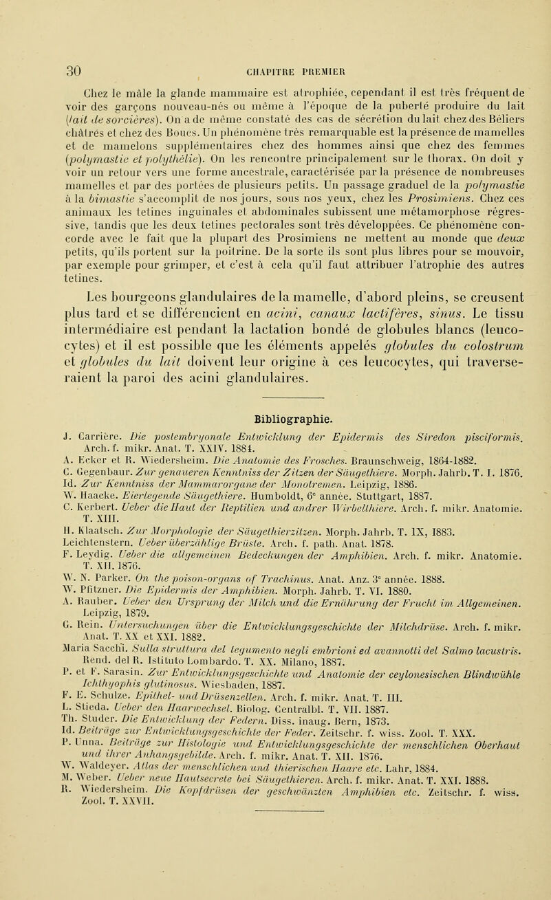 Chez le mâle la glande mammaire est atrophiée, cependant il est très fréquent de voir des garçons nouveau-nés ou même à l'époque de la puberté produire du lait [lail desorcières). Onade même constaté des cas de sécrétion dulait chez des Béliers châtrés et chez des Boucs. Un phénomène très remarquable est la présence de mamelles et de mamelons supplémentaires chez des hommes ainsi que chez des femmes {polymastie et fiolythélie). On les rencontre principalement sur le thorax. On doit y voir un retour vers une forme ancestrale, caractérisée parla présence de nombreuses mamelles et par des portées de plusieurs petits. Un passage graduel de la polymastie à la bimaslie s'accomplit de nos jours, sous nos yeux, chez les Prosimiens. Chez ces animaux les tétines inguinales et abdominales subissent une métamorphose régres- sive, tandis que les deux tétines pectorales sont très développées. Ce phénomène con- corde avec le fait que la plupart des Prosimiens ne mettent au monde que deux petits, qu'ils portent sur la poitrine. De la sorte ils sont plus libres pour se mouvoir, par exemple pour grimper, et c'est à cela qu'il faut attribuer l'atrophie des autres tétines. Les bourgeons glandulaires delà mamelle, d'abord pleins, se creusent plus tard et se différencient en acini, canaux lactifères, sinus. Le tissu intermédiaire est pendant la lactation bondé de globules blancs (leuco- cytes) et il est possible que les éléments appelés globules du colostrum et globules du lait doivent leur origine à ces leucocytes, qui traverse- raient la paroi des acini glandulaires. Bibliographie. J. Carrière. Die postembryonale Entwicklung der Epidermls des Siredon pisciformis, Arch. f. mikr. Anat. T. XXIV. 1881. A. Eckcr et R. Wiedersheim. Die Anatomie des Frosches. Braunschweig, 1864-1882. C. Gegenha.ur. Zur genaueren Kenntniss der Zitzen der Sàugethiere. Morph. Jahrb. T. I. 1876. Id. Zur Kenntniss der Mcmimarorgane der Monotremen. Leipzig, 1886. W. Haacke. Eiertegende Sciugeihiet^e. Humboldt, 6'= année. Stuttgart, 1887. C. Kerbert. Ueber dieHaiU der Reptilien und andrer Wirbelthiere. Arch. f. mikr. Anatomie, T. XllI. H. Klaatsch. Zur Morphologie der Saugelhierzitzen. Morph. Jahrb. T. IX, 1883. Leichtenstern. Ueber ûberzahlige BrUste. Arch. f. path. Anat. 1878. F. Leydig. Ueber die allgemeinen Bedeckungen der Amphibien. Arch. f. mikr. Anatomie. T. XII. 1876. W. N. Parker. On the poison-organs of Trachinus. Anat. Anz. 3° année. 1888. W. Pfitzner. Die Epidermis der Amphibien. Morph. Jahrb. T. VI. 1880. A. Rauber. Ueber den Urspru7ig der Milcli und die Ernàhrung der Frucht im Allgemeinen. Leipzig, 1879. G. Rein. Unlersuchungen ûber die Entivicklungsgeschichte der Milchdrûse. Arch. f. mikr. Anat, T. XX et XXI. 1882. Maria Sacchi. Sulla struttura del tegumenlo negli embrioni ed avannotti del Salmo lacustris. Rend, del R. Istituto Lombarde. T. XX. Milano, 1887. P. et F. Sarasin. Zur Entwickiungsgeschichte und Anatomie der ceylonesischen Blindioûhle Ichlhyophis glutinosus. Wiesbaden, 1887. F. E. Schulze. Epithel- und Drïisenzellen. Arch. f. mikr. Anat. T. III. L. Stieda. Ueber don Haarwechsel. Biolog, Centralbl. T. VII. 1887. Th. Sluder. Die Entwicklung der Federn. Diss. inaug. Bern, 1873. Id. Beitrijge zur Entivicklungsgeschichte der Feder. Zeitschr. f. wiss. Zool. ï. XXX. P. Unna. Beitrage zur Histologie und Entivicklungsgeschichte der menschlichen Oberhaut und ihrcr Anhangsgebilde. Arch. f. mikr, Anat. ï. XII. 1876, W. Waldeyer. Atlas der menschlichen und thierischen Haare etc. Lahr, 1884. M. Weber. Ueber neae Ilautsecrete bel Saugethieren. Arch. f. mikr. Anat. T. XXI. 1888. R. Wiedersheim. Die Kopfdrusen der geschwanztcn Amphibien etc. Zeitschr, f. wiss. Zool, ï. XXVII,