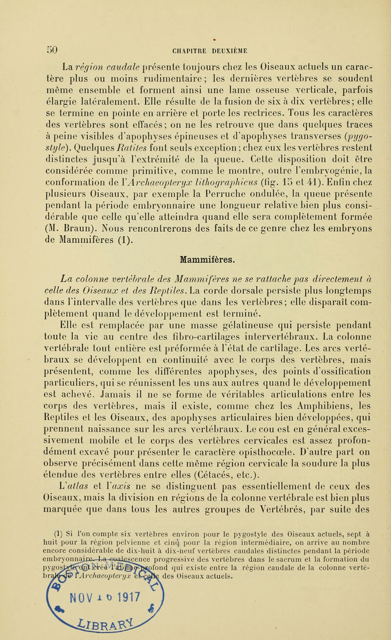 La région caudale présente toujours chez les Oiseaux actuels un carac- tère plus ou moins rudimentaire ; les dernières vertèbres se soudent même ensemble et forment ainsi une lame osseuse verticale, parfois élargie latéralement. Elle résulte de la fusion de six à dix vertèbres; elle se termine en pointe en arrière et porte les rectrices. Tous les caractères des vertèbres sont effacés ; on ne les retrouve que dans quelques traces à peine visibles d'apophyses épineuses et d'apophyses transverses (pygo- style). Quelques Ratites font seuls exception ; chez eux les vertèbres restent distinctes jusqu'à l'extrémité de la queue. Cette disposition doit être considérée comme primitive, comme le montre, outre l'embryogénie, la conformation de VArchaeoj^teryx litJwgraphicus (fig. 15 et 41). Enfin chez plusieurs Oiseaux, par exemple la Perruche ondulée, la queue présente pendant la période embryonnaire une longueur relative bien plus consi- dérable que celle qu'elle atteindra quand elle sera complètement formée (M. Braun). Nous rencontrerons des faits de ce genre chez les embryons de Mammifères (1). Mammifères. La colonne vertébrale des Matnmifêres ne se rattache pas directement à celle des Oiseaux et des Reptiles. La corde dorsale persiste plus longtemps dans l'intervalle des vertèbres que dans les vertèbres ; elle disparaît com- plètement quand le développement est terminé. Elle est remplacée par une masse gélatineuse qui persiste pendant toute la vie au centre des fîbro-cartilages intervertébraux. La colonne vertébrale tout entière est préformée à l'état de cartilage. Les arcs verté- braux se développent eu continuité avec le corps des vertèbres, mais présentent, comme les différentes apophyses, des points d'ossification particuliers, qui se réunissent les uns aux autres quand le développement est achevé. Jamais il ne se forme de véritables articulations entre les corps des vertèbres, mais il existe, comme chez les Amphibiens, les Reptiles et les Oiseaux, des apophyses articulaires bien développées, qui prennent naissance sur les arcs vertébraux. Le cou est en général exces- sivement mobile et le corps des vertèbres cervicales est assez profon- dément excavé pour présenter le caractère opisthocœle. D'autre part on observe précisément dans cette même région cervicale la soudure la plus étendue des vertèbres entre elles (Cétacés, etc.). 'L'atlas et Yaxis ne se distinguent pas essentiellement de ceux des Oiseaux, mais la division en régions de la colonne vertébrale est bien plus marquée que dans tous les autres groupes de Vertébrés, par suite des (1) Si l'on compte six vertèbres environ pour le pygostyle des Oiseaux actuels, sept à huit pour la région pelvienne et cinq pour la région intermédiaire, on arrive au nombre encore considérable de dix-huit à dix-neuf vertèbres caudales distinctes pendant la période embryonnaix&. La_ coal&gcence progressive des vertèbres dans le sacrum et la formalion du pygos^^^c@fctéé'4'fî@»?J>j;ofond qui existe entre la région caudale de la colonne verté- hr^j/^^ vArchaeoplenjx eC^ôhe des Oiseaux actuels A <