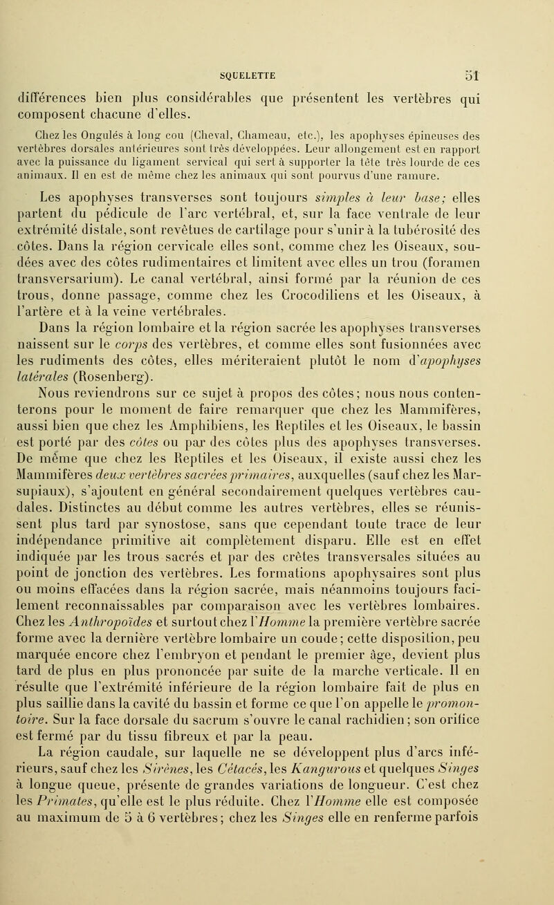 différences bien plus considérables que présentent les vertèbres qui composent chacune d'elles. Chez les Ongulés à long cou (Cheval, Chameau, etc.), les apophyses épineuses des vertèbres dorsales antérieures sont très développées. Leur allongement est en rapport avec la puissance du ligament servical qui sert à supporter la tête très lourde de ces animaux. Il en est de même chez les animaux qui sont pourvus d'une ramure. Les apophyses transverses sont toujours simples à leur base; elles partent du pédicule de l'arc vertébral, et, sur la face ventrale de leur extrémité distale, sont revêtues de cartilage pour s'unir à la tubérosité des côtes. Dans la région cervicale elles sont, comme chez les Oiseaux, sou- dées avec des côtes rudimentaires et limitent avec elles un trou (foramen transversarium). Le canal vertébral, ainsi formé par la réunion de ces trous, donne passage, comme chez les Crocodiliens et les Oiseaux, à l'artère et à la veine vertébrales. Dans la région lombaire et la rég'ion sacrée les apophyses transverses naissent sur le corjjs des vertèbres, et comme elles sont fusionnées avec les rudiments des côtes, elles mériteraient plutôt le nom d'apophyses latérales (Rosenberg-). Nous reviendrons sur ce sujet à propos des côtes; nous nous conten- terons pour le moment de faire remarquer que chez les Mammifères, aussi bien que chez les Amphibiens, les Reptiles et les Oiseaux, le bassin est porté par des côtes ou par des côtes plus des apophyses transverses. De même que chez les Reptiles et les Oiseaux, il existe aussi chez les Mammifères deicx vertèbres sacréespriinaires, auxquelles (sauf chez les Mar- supiaux), s'ajoutent en général secondairement quelques vertèbres cau- dales. Distinctes au début comme les autres vertèbres, elles se réunis- sent plus tard par synostose, sans que cependant toute trace de leur indépendance primitive ait complètement disparu. Elle est en effet indiquée par les trous sacrés et par des crêtes transversales situées au point de jonction des vertèbres. Les formations apophysaires sont plus ou moins effacées dans la région sacrée, mais néanmoins toujours faci- lement reconnaissables par comparaison avec les vertèbres lombaires. Chez les Anthropoïdes et surtout chez YHo7nme la première vertèbre sacrée forme avec la dernière vertèbre lombaire un coude; cette disposition, peu marquée encore chez l'embryon et pendant le premier âge, devient plus tard de plus en plus prononcée par suite de la marche verticale. 11 en résulte que l'extrémité inférieure de la région lombaire fait de plus en plus saillie dans la cavité du bassin et forme ce que l'on appelle \q promon- toire. Sur la face dorsale du sacrum s'ouvre le canal rachidien; son orifice est fermé par du tissu fibreux et par la peau. La région caudale, sur laquelle ne se développent plus d'arcs infé- rieurs, sauf chez les Sirènes, les Cétacés, les Kangurous et quelques Singes à longue queue, présente de grandes variations de longueur. C'est chez les Primates, qu'elle est le plus réduite. Chez VHomme elle est composée au maximum de 5 à 6 vertèbres; chez les Singes elle en renferme parfois