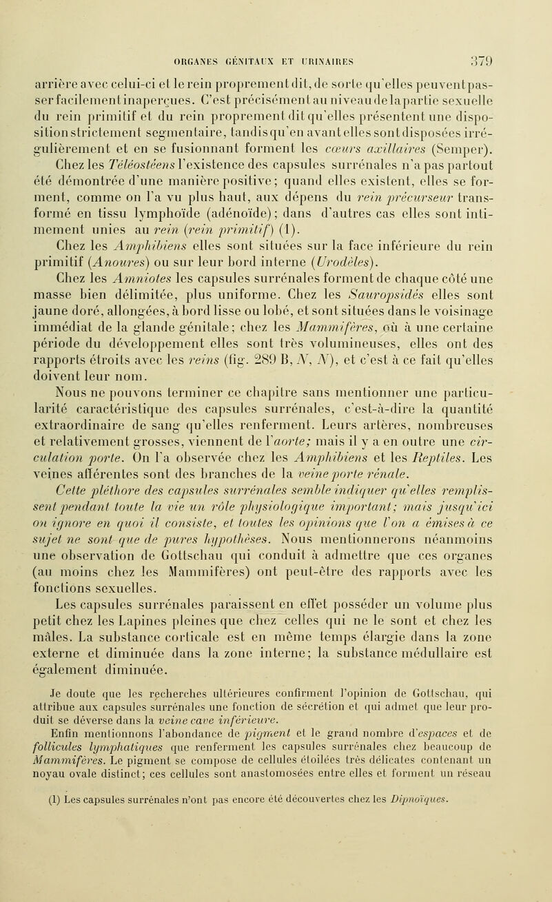 arrière avec celui-ci et le rein proprement dit, de sorte qu'elles peuventpas- ser facilement inaperçues. C'est précisément au niveau de lapartie sexuelle du rein primitif et du rein proprement dit qu'elles présentent une dispo- sition strictement seg-mentaire, tandis qu'en avant elles sont disposées irré- gulièrement et en se fusionnant forment les cœurs axillaires (Semper). Chez les Téléostéens l'existence des capsules surrénales n'a pas partout été démontrée d'une manière positive; quand elles existent, elles se for- ment, comme on l'a vu plus haut, aux dépens du rein j^récurseur trans- formé en tissu lymphoïde (adénoïde); dans d'autres cas elles sont inti- mement unies au rein (rein 'primitif) (1). Chez les Amphibiens elles sont situées sur la face inférieure du rein primitif [Anoures] ou sur leur bord interne (Urodèles). Chez les Amniotes les capsules surrénales forment de chaque côté une masse bien délimitée, plus uniforme. Chez les Sauropsidés elles sont jaune doré, allongées, à bord lisse ou lobé, et sont situées dans le voisinage immédiat de la glande génitale; chez les Mammifères, où à une certaine période du développement elles sont très volumineuses, elles ont des rapports étroits avec les reins (fîg. 289 B, N, N), et c'est à ce fait qu'elles doivent leur nom. Nous ne pouvons terminer ce chapitre sans mentionner une particu- larité caractéristique des capsules surrénales, c'est-à-dire la quantité extraordinaire de sang qu'elles renferment. Leurs artères, nombreuses et relativement grosses, viennent de Y aorte; mais il y a en outre une cir- culation porte. On l'a observée chez les Amphibiens et les Reptiles. Les veines afférentes sont des branches de la veinep)orte rénale. Cette pléthore des capsules surrénales semble indic/uer quelles remplis- sent piendant toute la vie un rôle physiologique important ; mais jusquici on ignore en quoi il consiste, et toutes les opinions que Von a émises à ce sujet ne sont que de pures hypothèses. Nous mentionnerons néanmoins une observation de Gottschau qui conduit à admettre que ces organes (au moins chez les Mammifères) ont peut-être des rapports avec les fonctions sexuelles. Les capsules surrénales paraissent en effet posséder un volume plus petit chez les Lapines pleines que chez celles qui ne le sont et chez les mâles. La substance corticale est en même temps élargie dans la zone externe et diminuée dans la zone interne; la substance médullaire est également diminuée. Je doute que les recherches ultérieures confirment l'opinion de Gottschau, qui attribue aux capsules surrénales une fonction de sécrétion et qui admet que leur pro- duit se déverse dans la veine cave inférieure. Enfin mentionnons l'abondance de pigment et le grand nombre d'espaces et de follicules lymphatiques que renferment les capsules surrénales chez beaucoup de Mammifères. Le pigment se compose de cellules étoilées très délicates contenant un noyau ovale distinct; ces cellules sont anastomosées entre elles et forment un réseau (1) Les capsules surrénales n'ont pas encore été découverles chez les Dipnoïques.